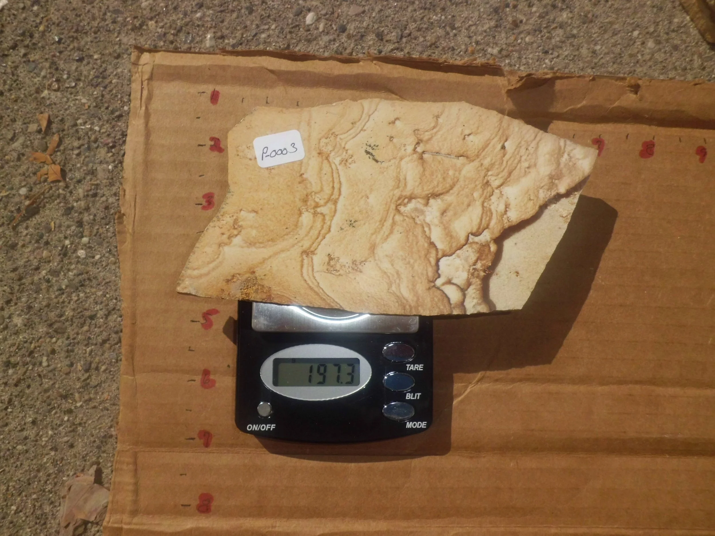 Picture Jasper
