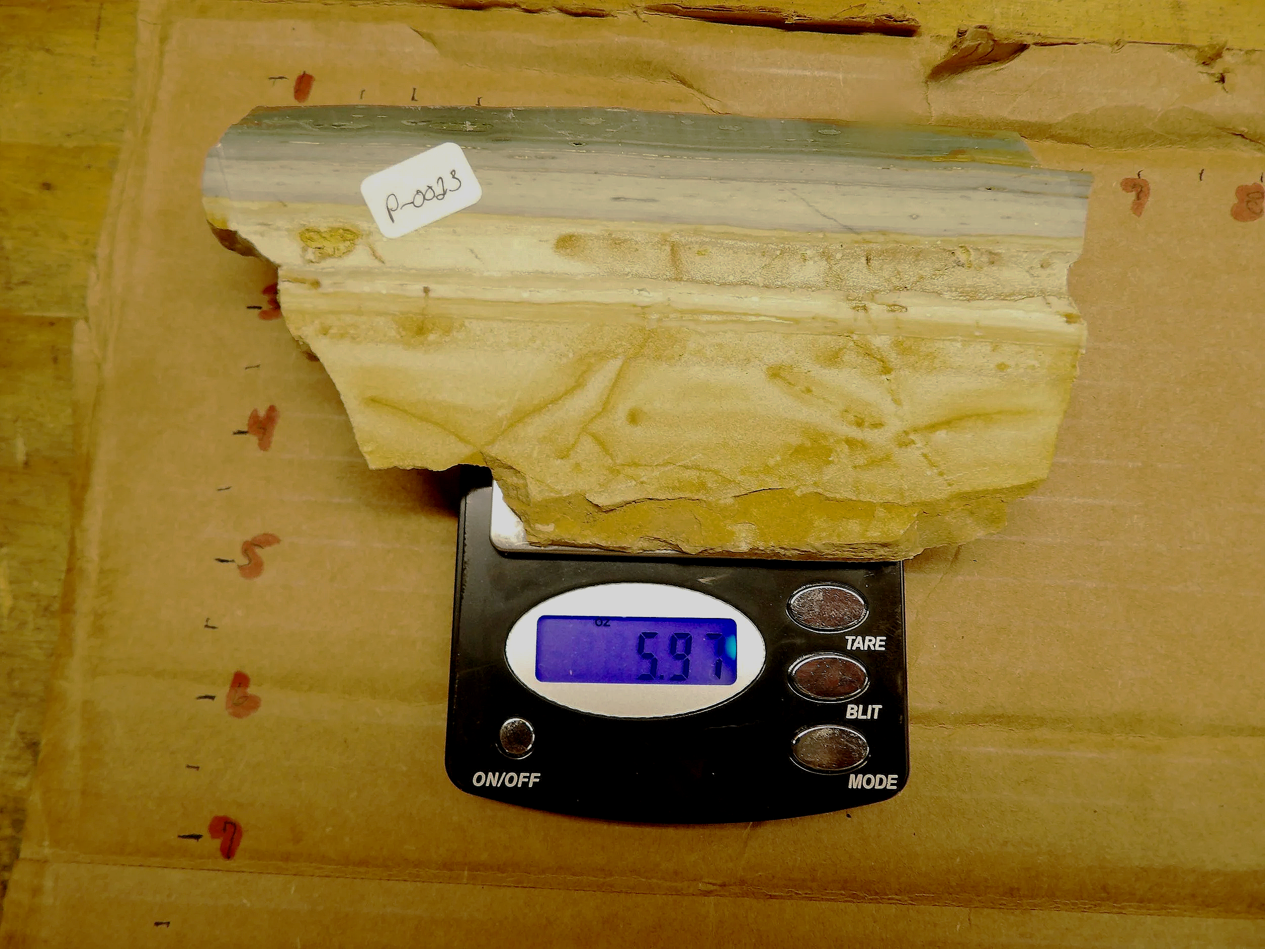 Gary Green Jasper