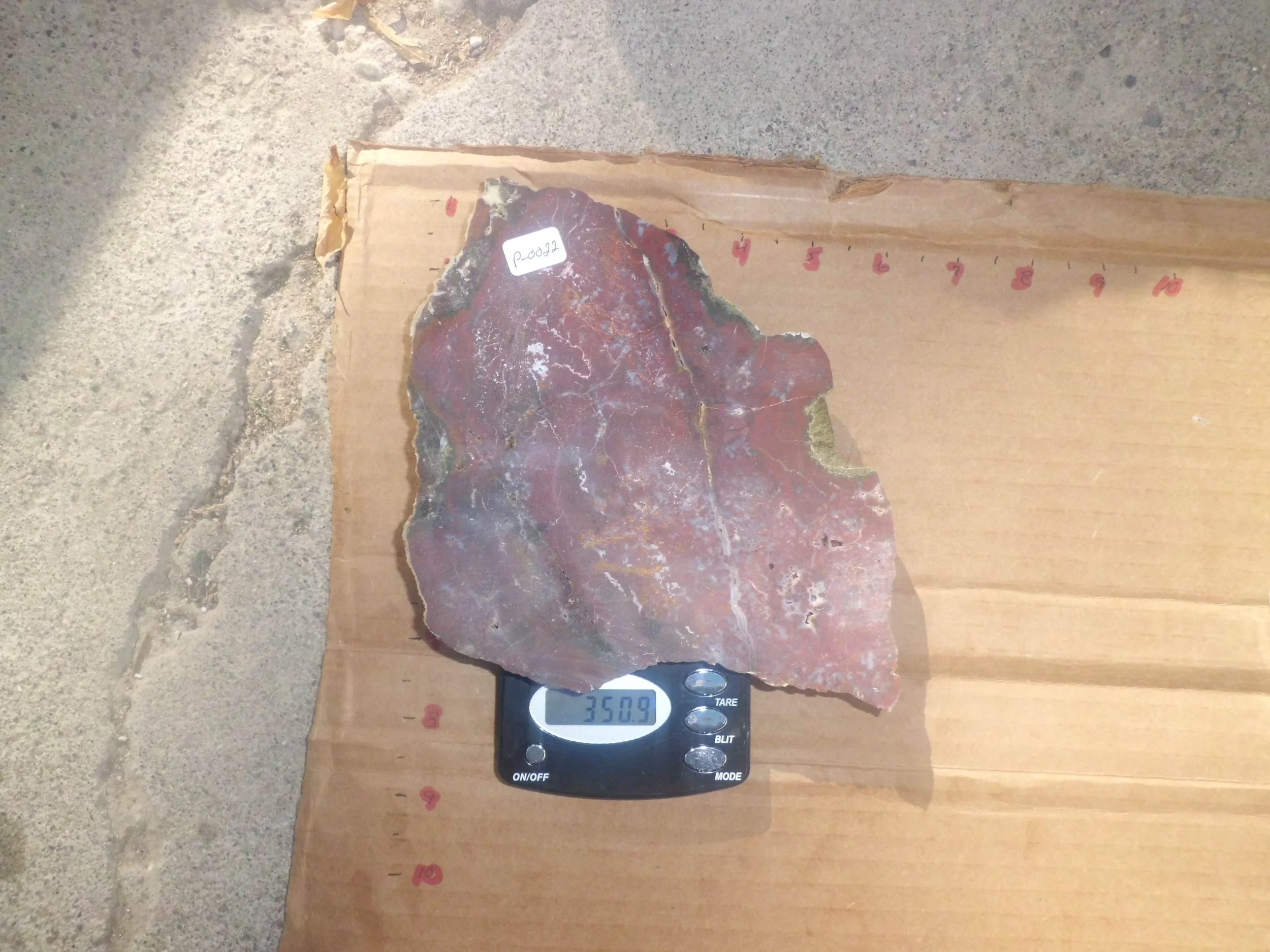 Red Moss Agate