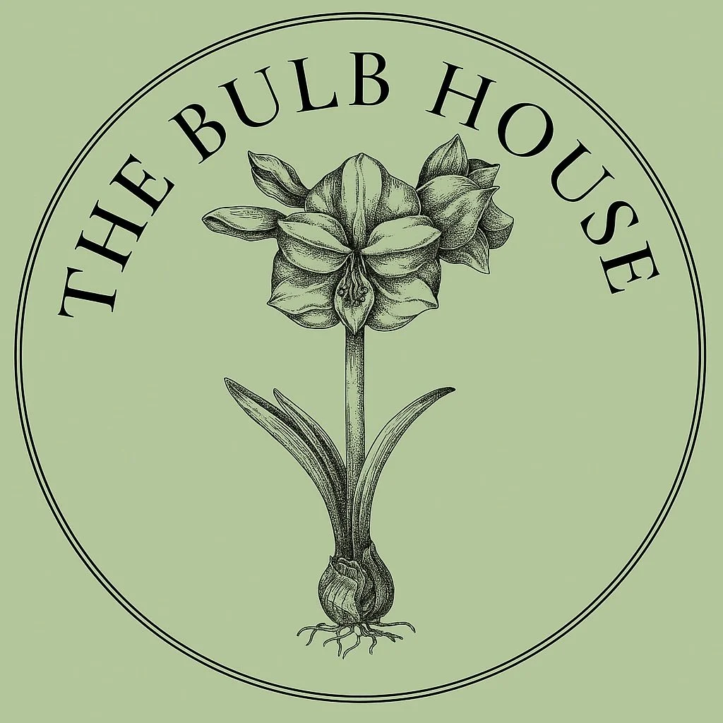 The Bulb House 