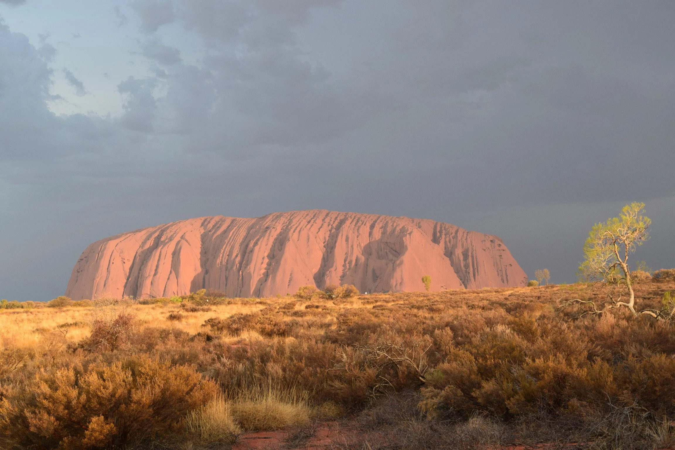 A large sandstone formation, Uluru, in the Australian Outback during sunset, with dark storm clouds overhead and sparse desert vegetation in the foreground.
