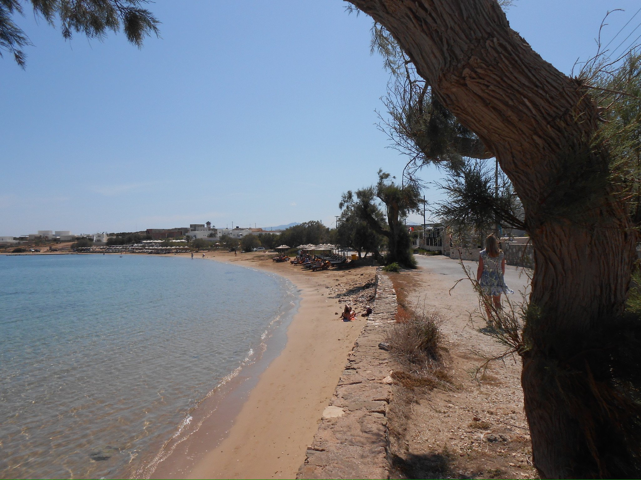A woman walking along a sandy beach shaded by trees, with calm water on the left and buildings in the distance under a clear blue sky.