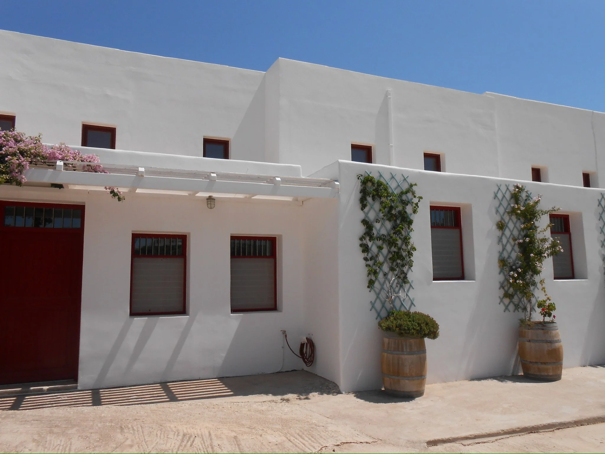 White building with rectangular windows and red frames, two large wooden barrels with plants, and a clear blue sky.