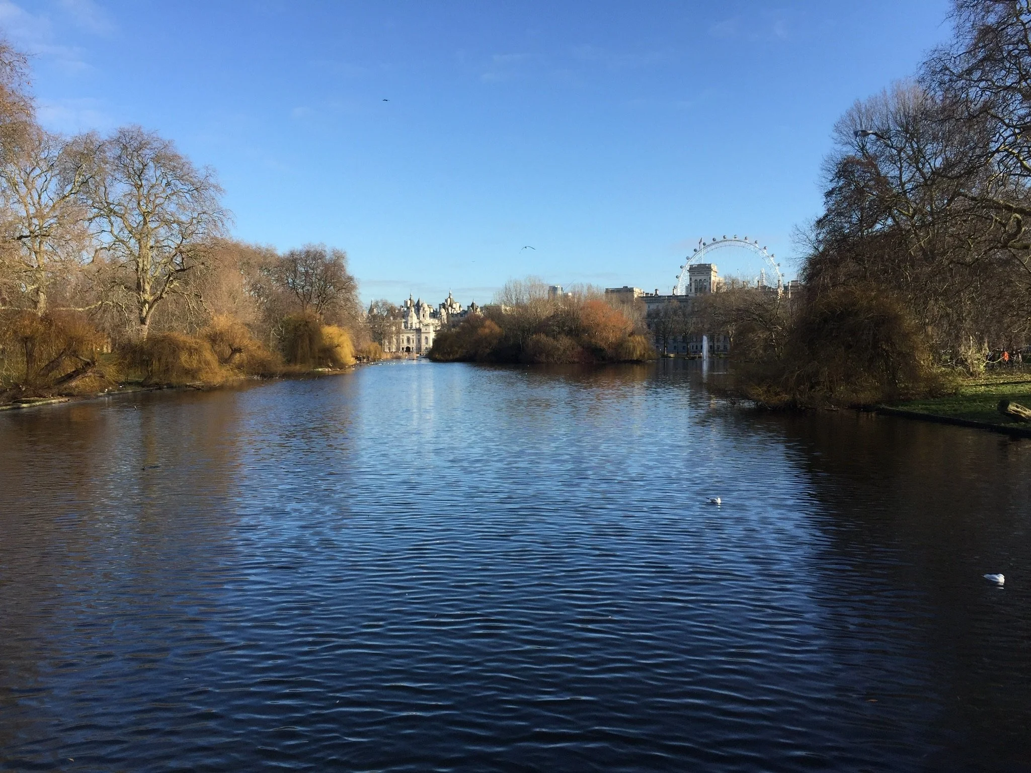 A park with a river running through it, surrounded by leafless trees, with a distant view of buildings including the London Eye Ferris wheel on a clear day.