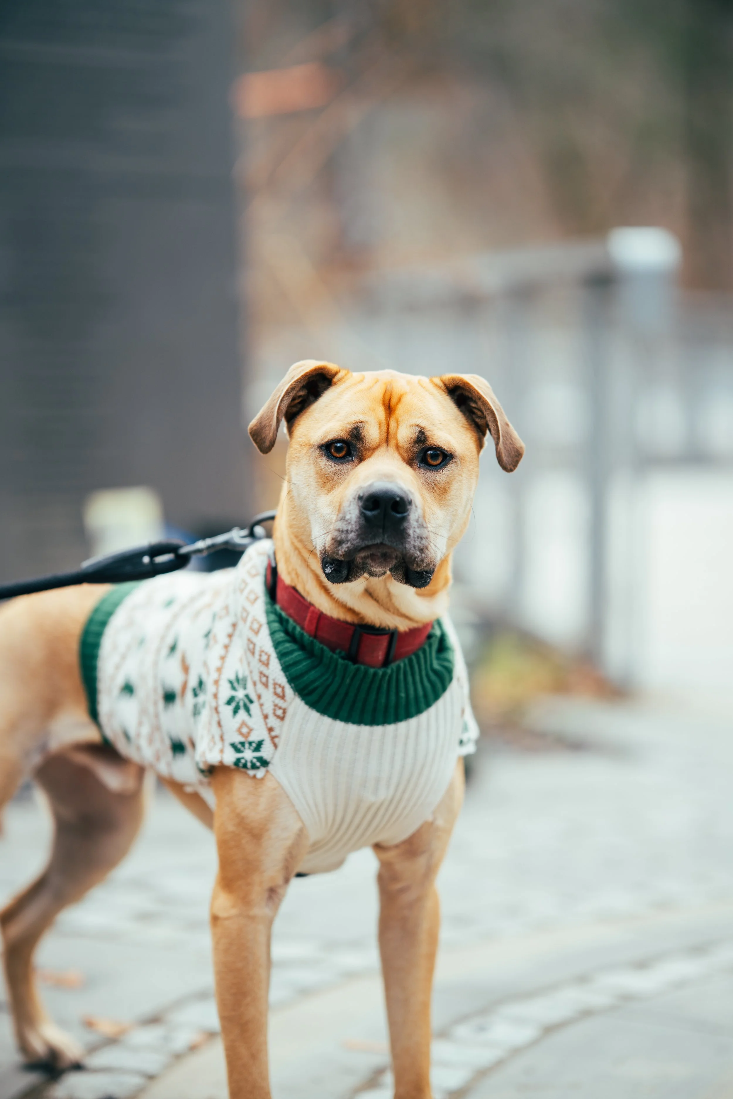 BLUM 11.22 (18 of 33).jpg