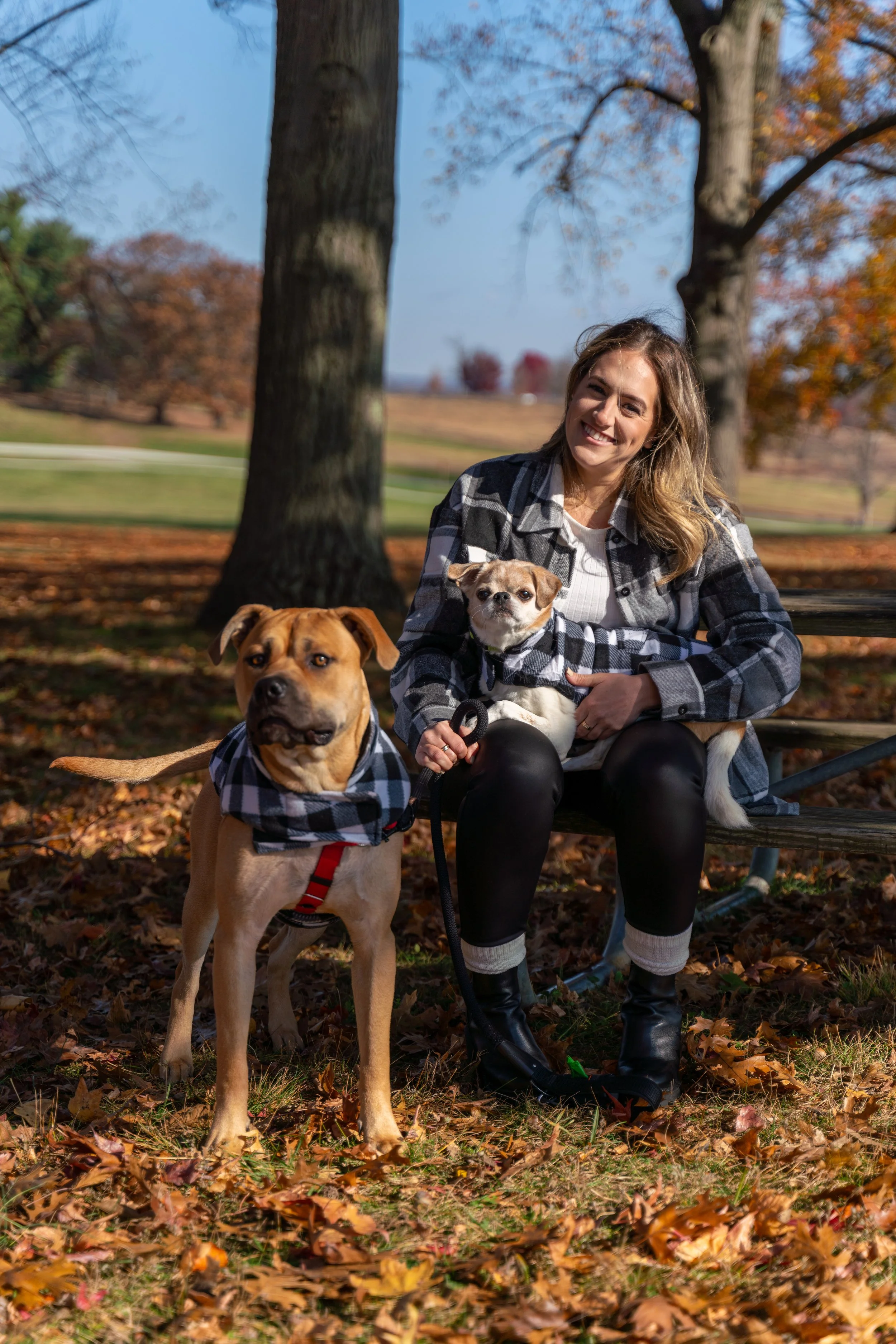 Chewie and Howie-1.jpg