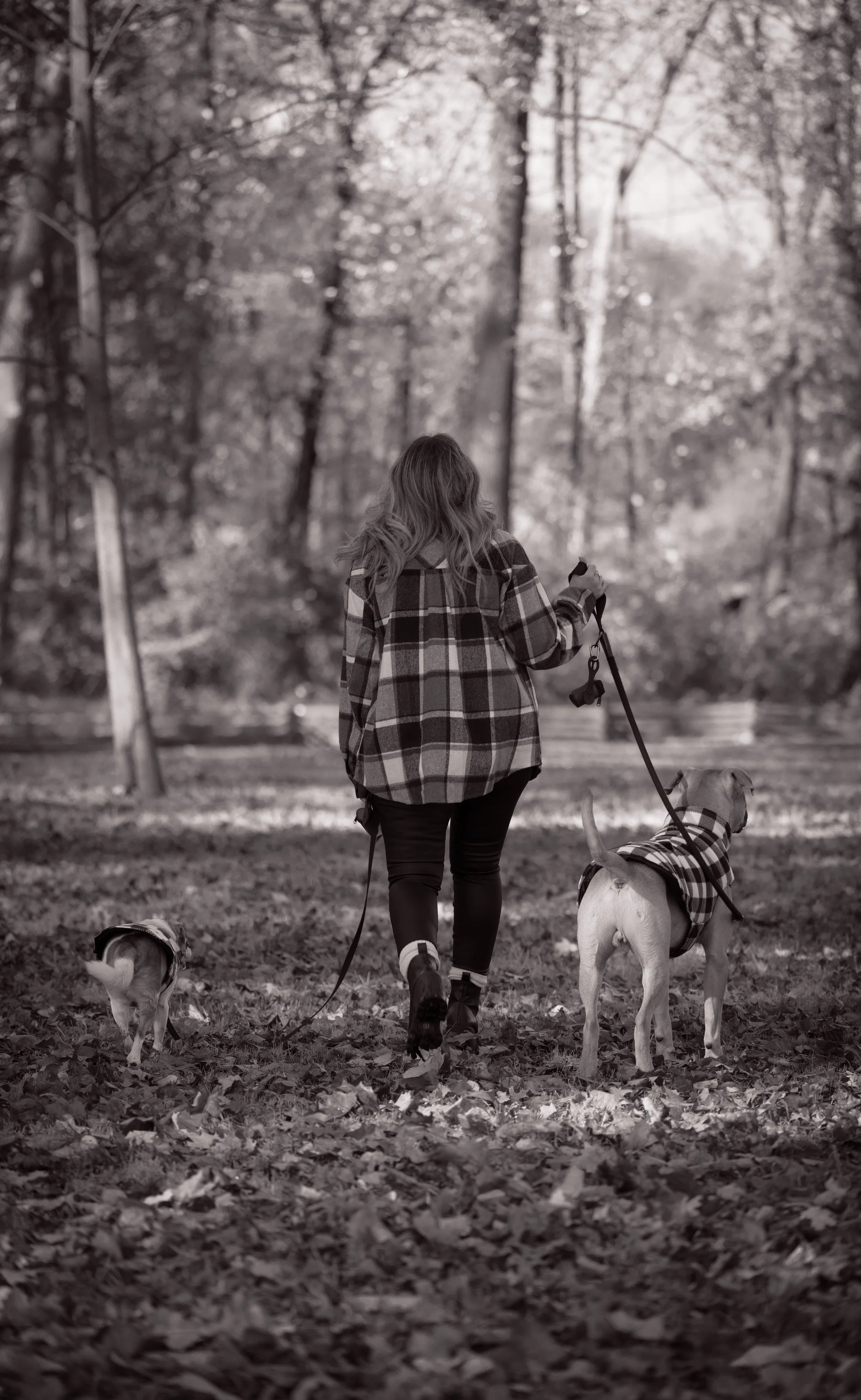 Chewie and Howie-17.jpg