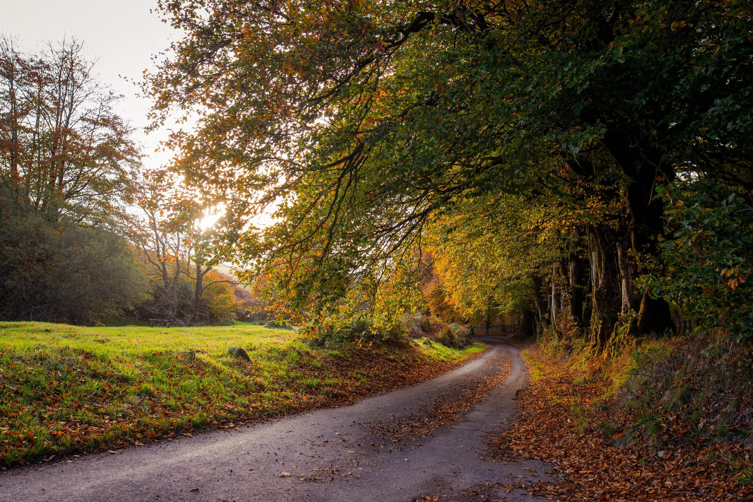 exmoor autumn-3962.jpg