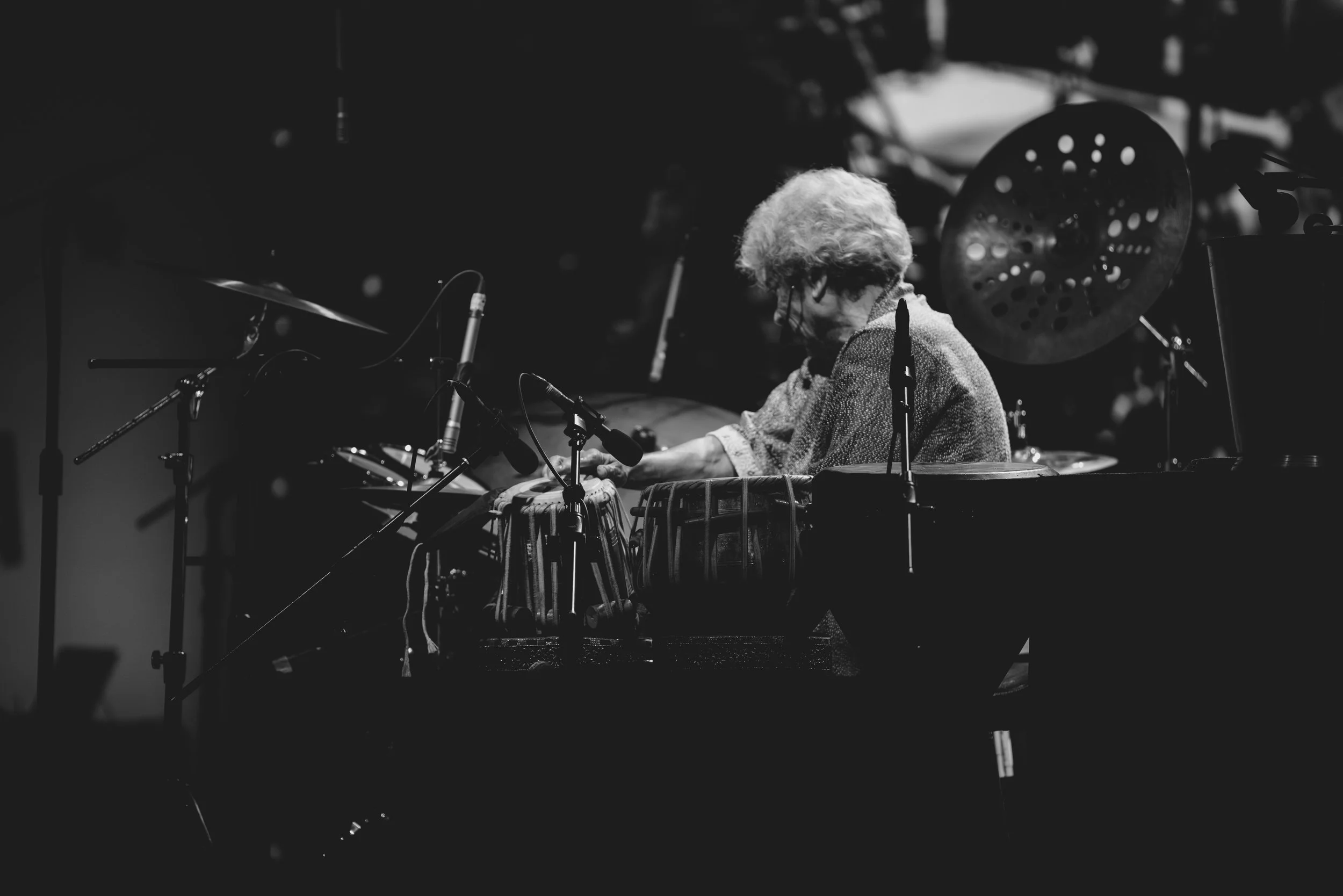 PAT_Artists_TrilokGurtu_MPF2025-46.jpg