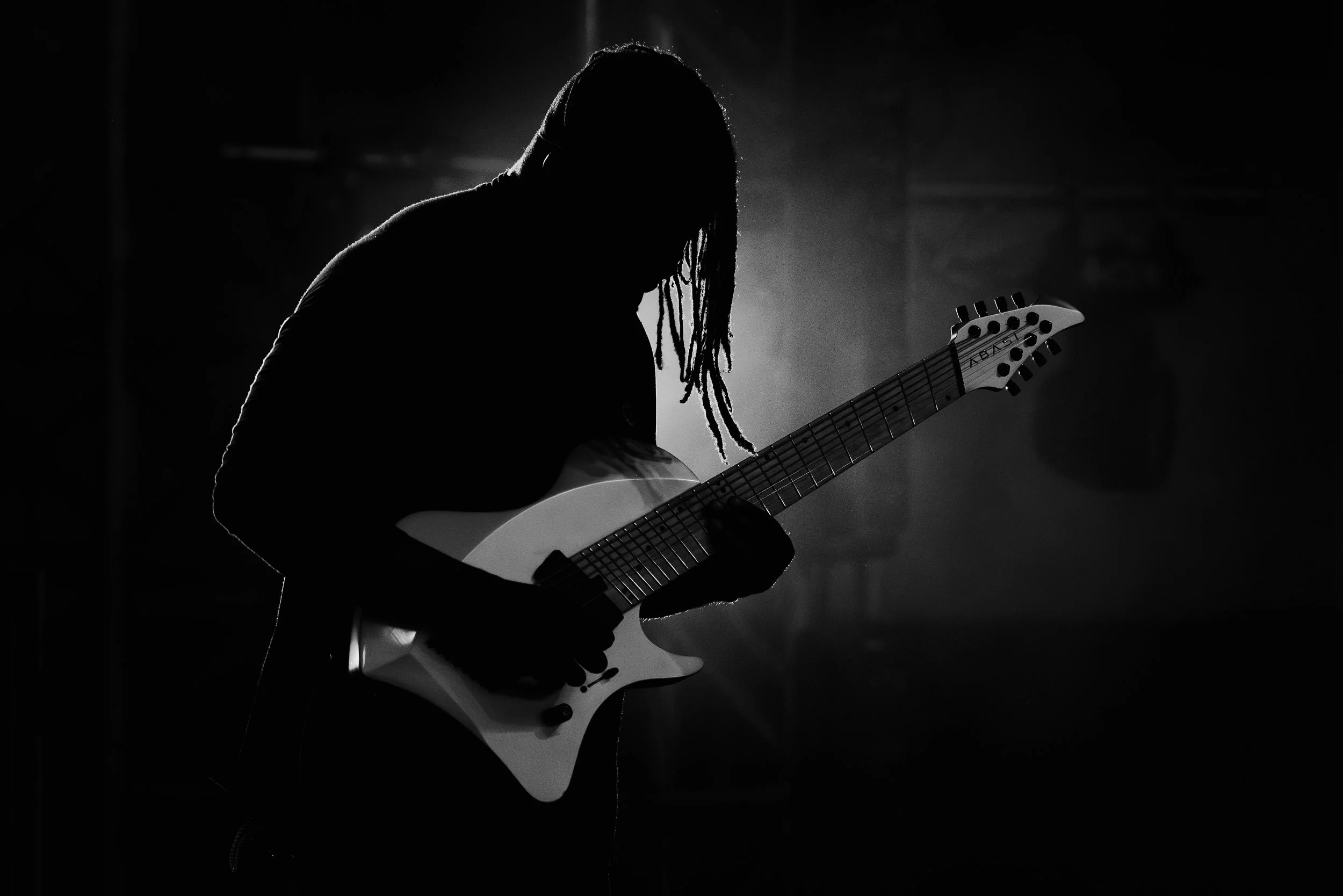 Animals As Leaders 5.jpg