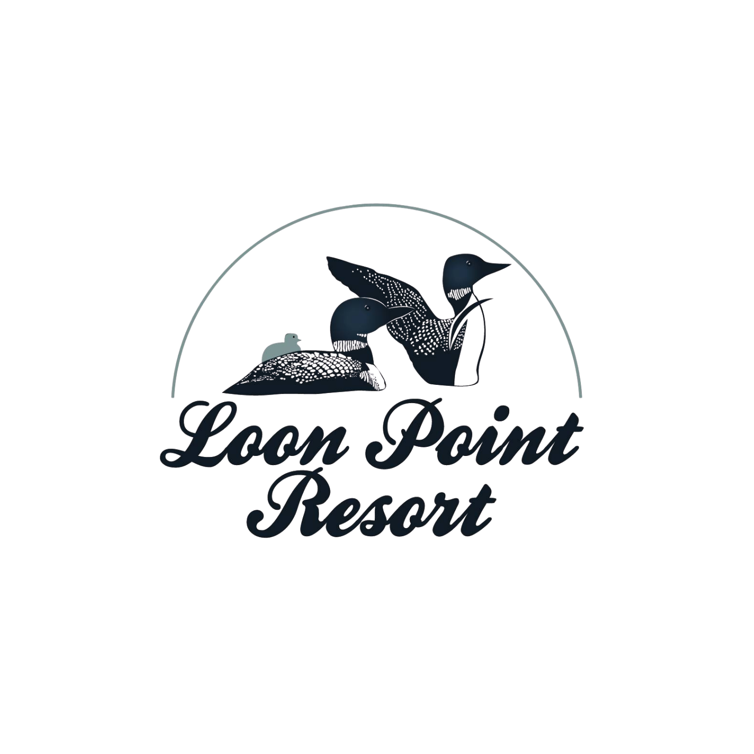 Swamprider  donor logos (8).png