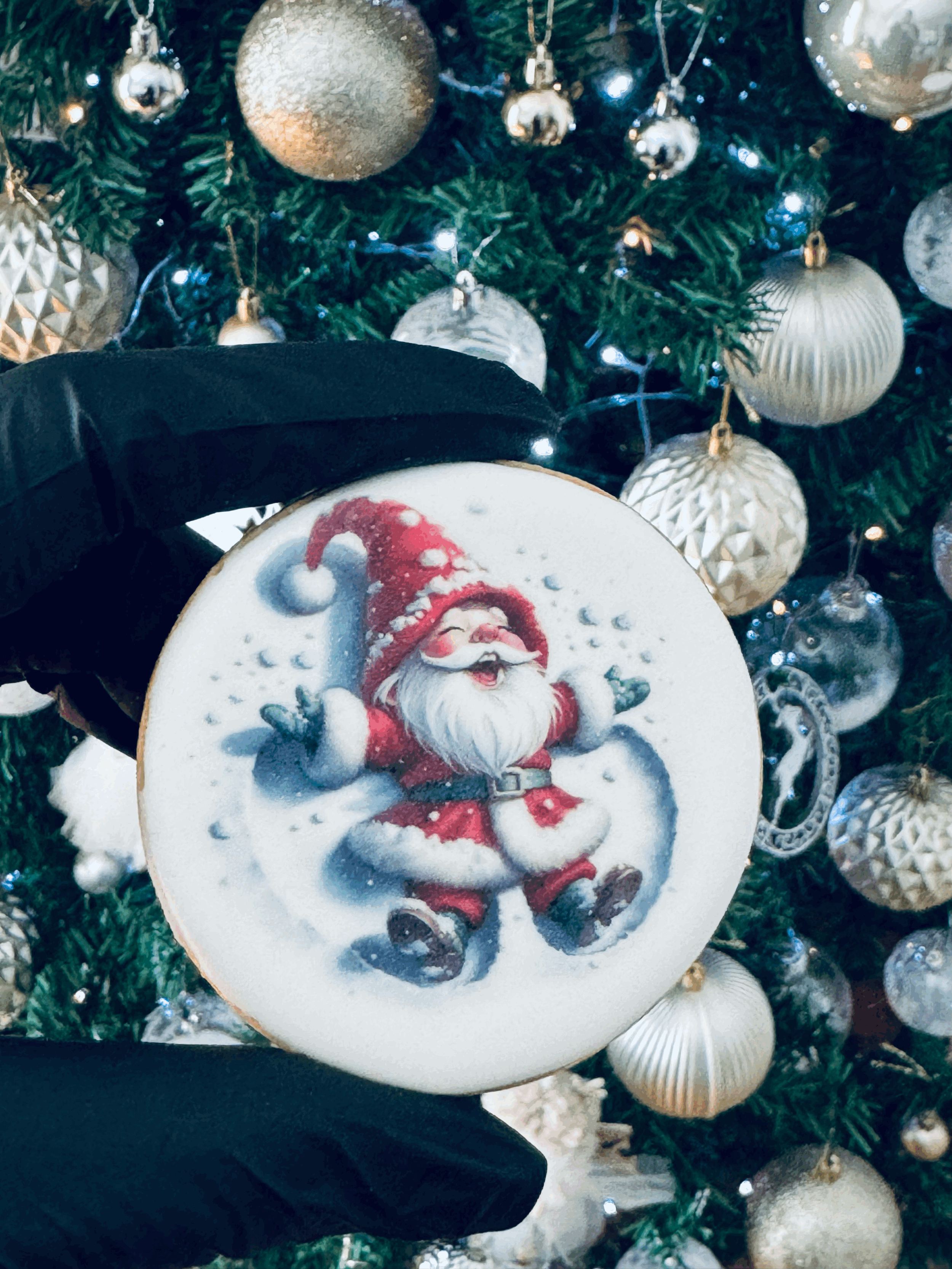 Holiday Delight (6 pcs)