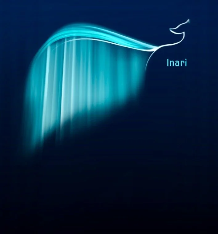 Digital graphic of a stylized whale made of flowing blue lines with the word 'Inari' beside it.