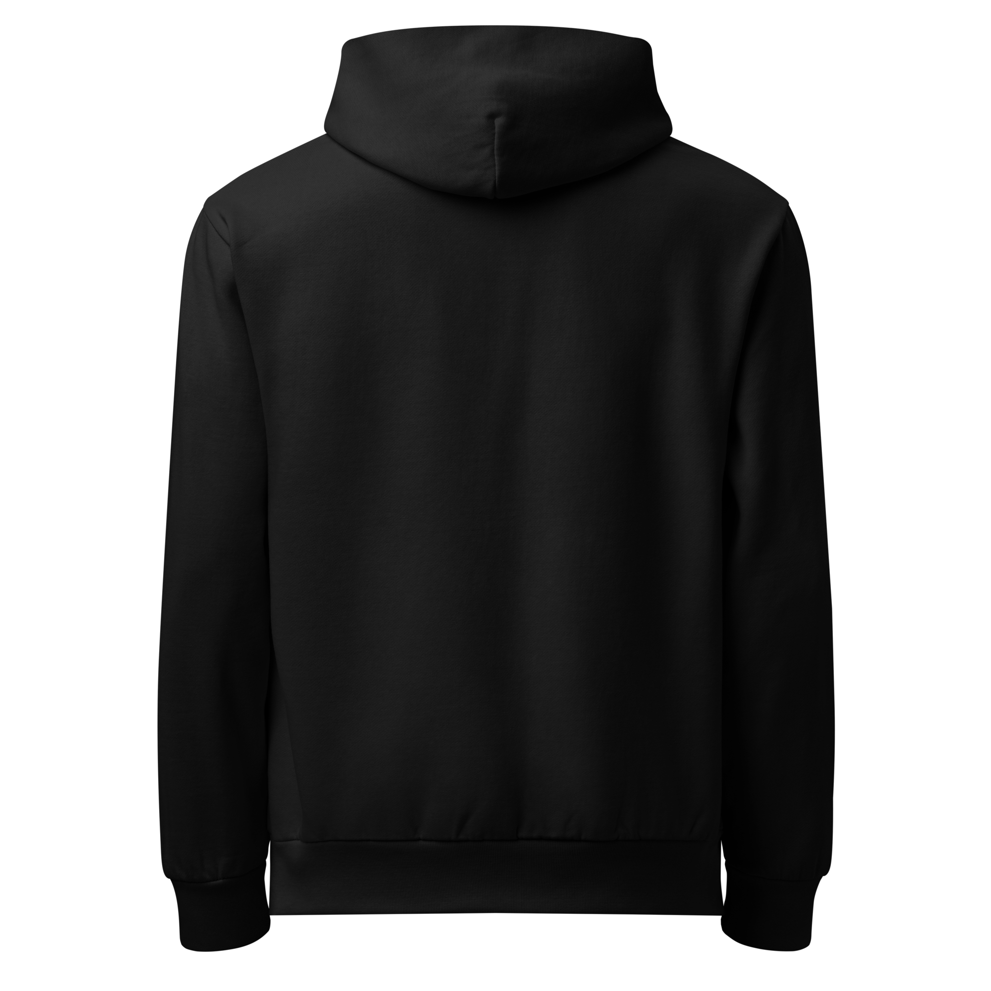 lane-seven-ls16001-i-urban-hoodie-black-back-691aa682845db.png