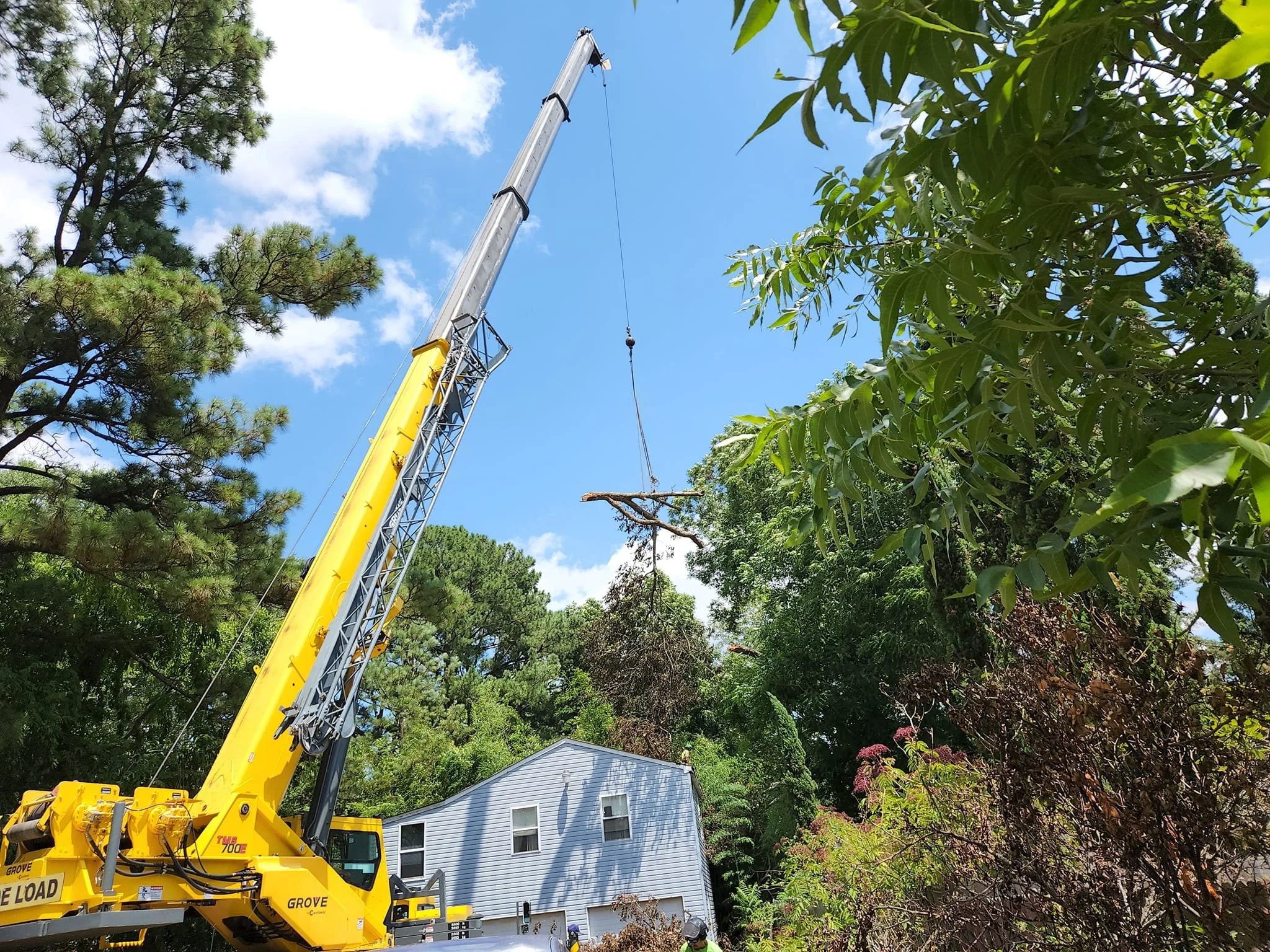 Storm damage tree removal before roof replacement in Hampton Roads, VA