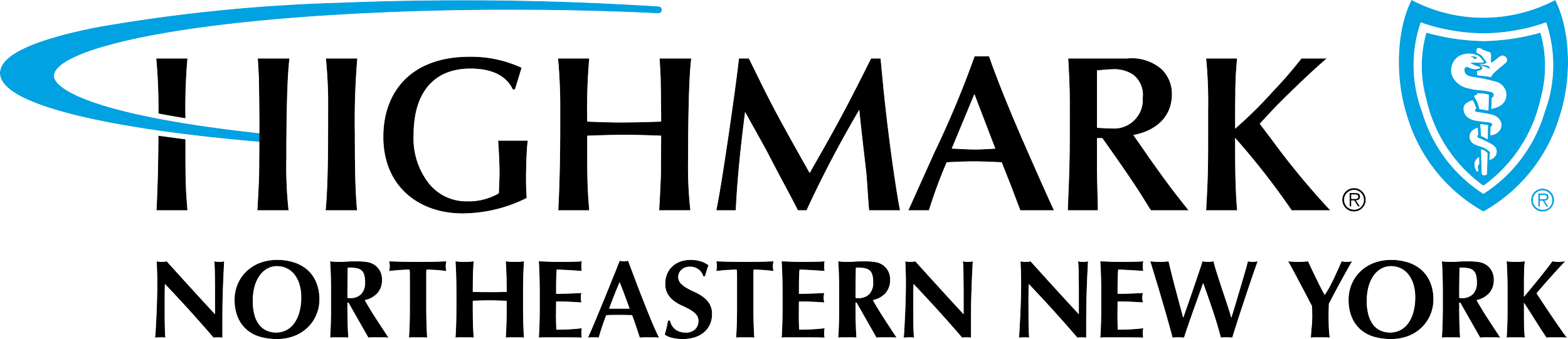 The logo of Highmark Northeastern New York insurance, with black lettering, next to a blue shield with the caduceus emblem.