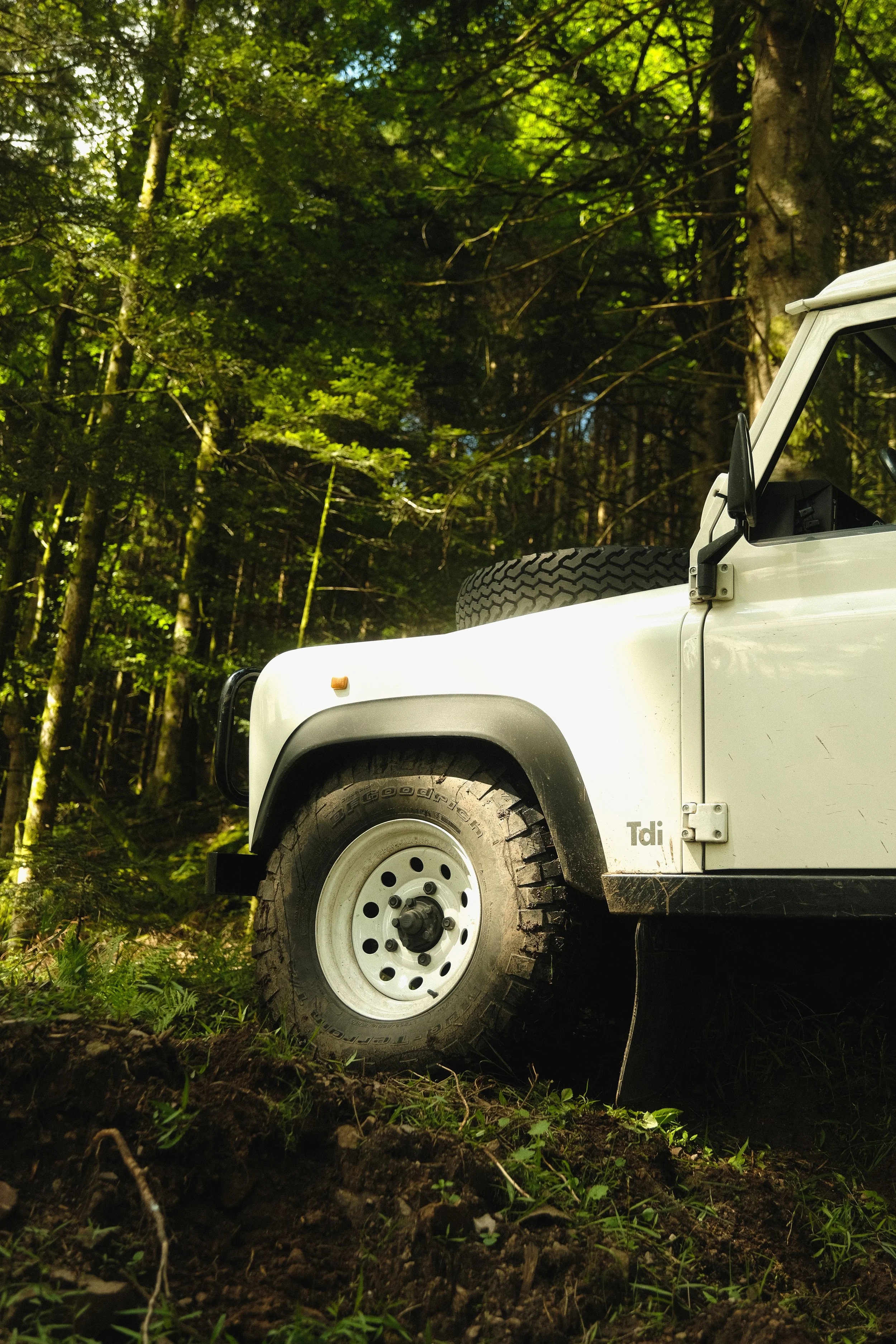 Ein weißer Geländewagen steht im Wald, umgeben von grünen Bäumen.