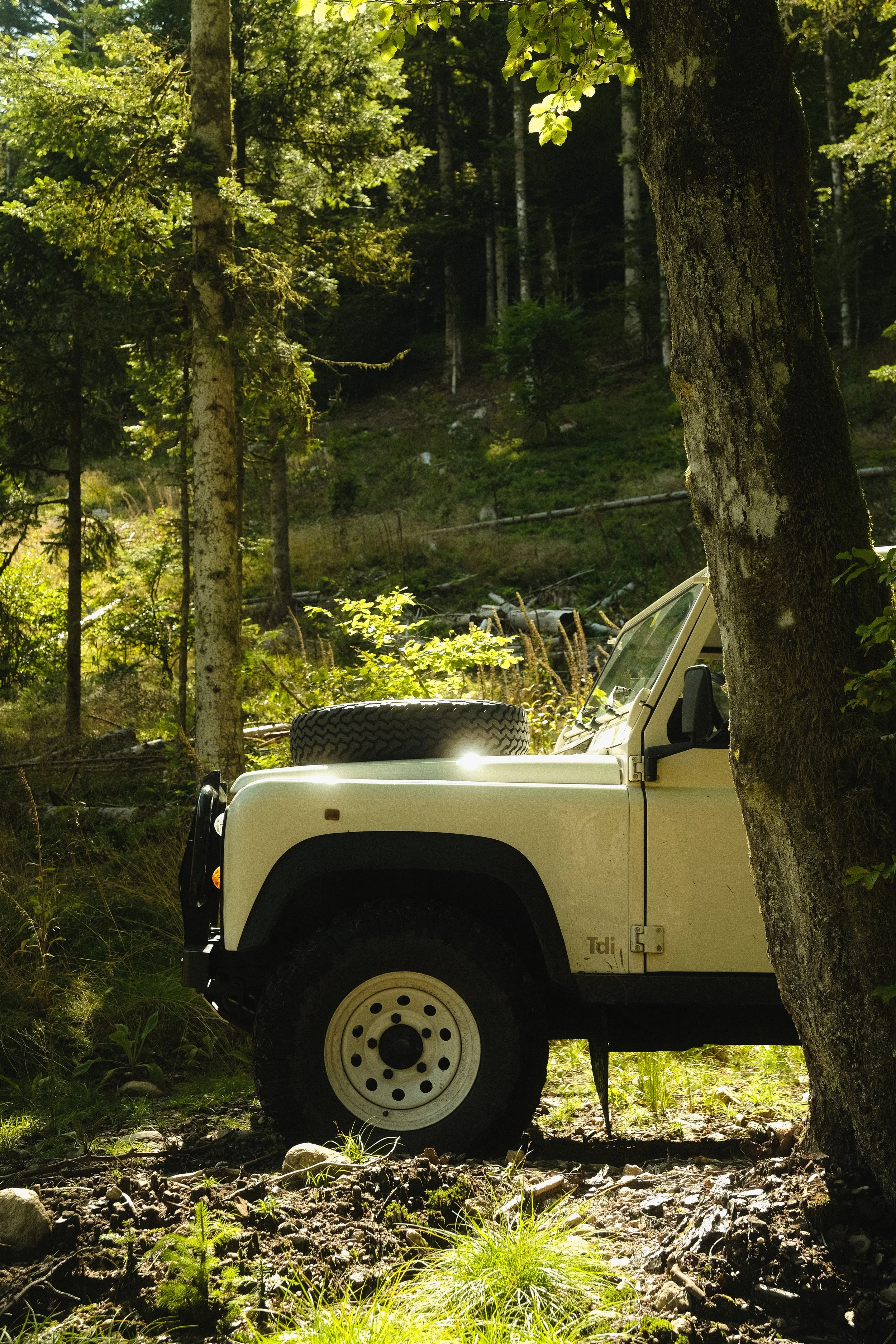 Ein weißes Geländefahrzeug im Wald, teilweise hinter einem Baum verborgen, mit einem Ersatzreifen auf der Motorhaube.