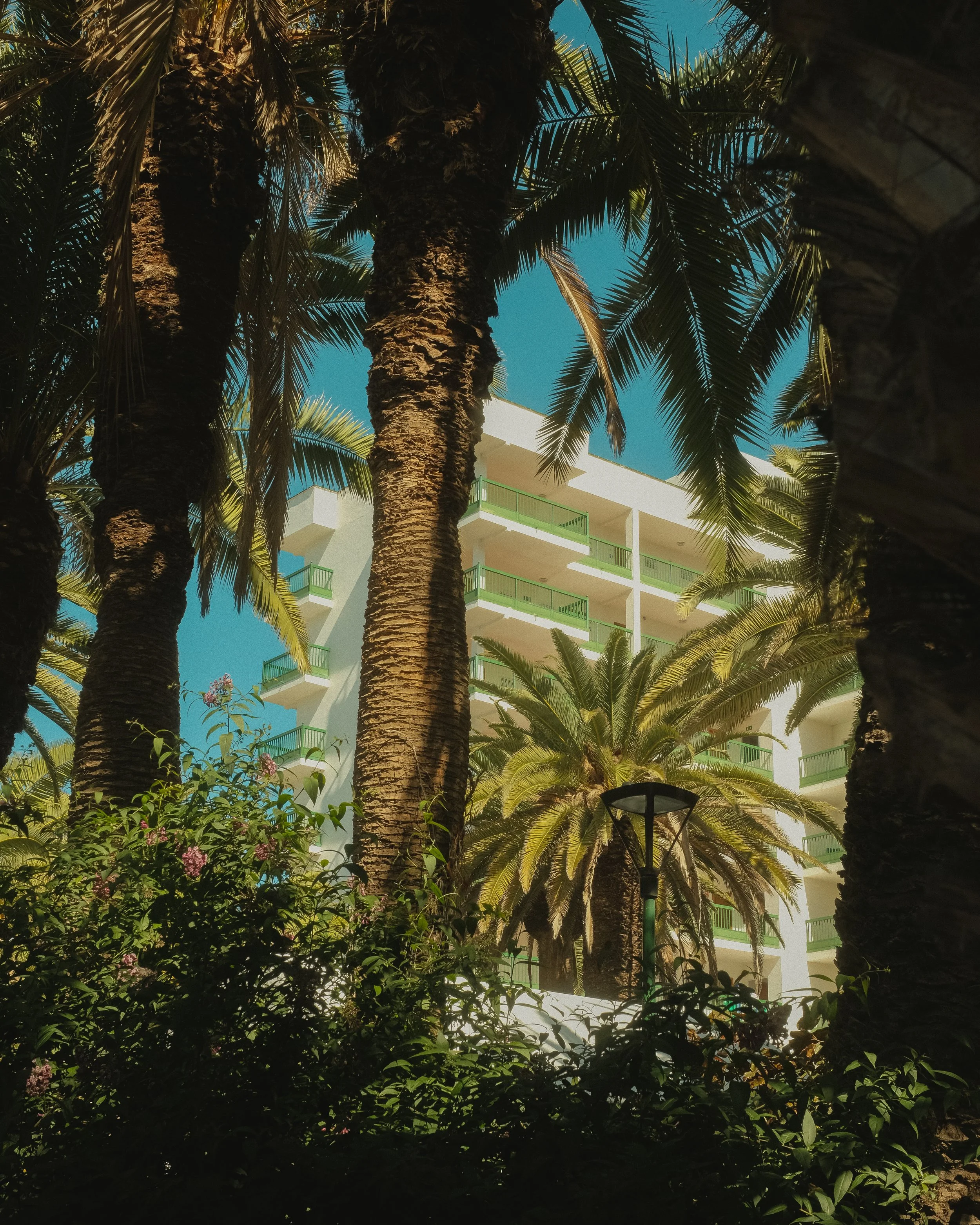 Mehrere Palmen vor einem modernen weißen Gebäude mit Balkon und grünen Geländern, bei strahlendem blauen Himmel.