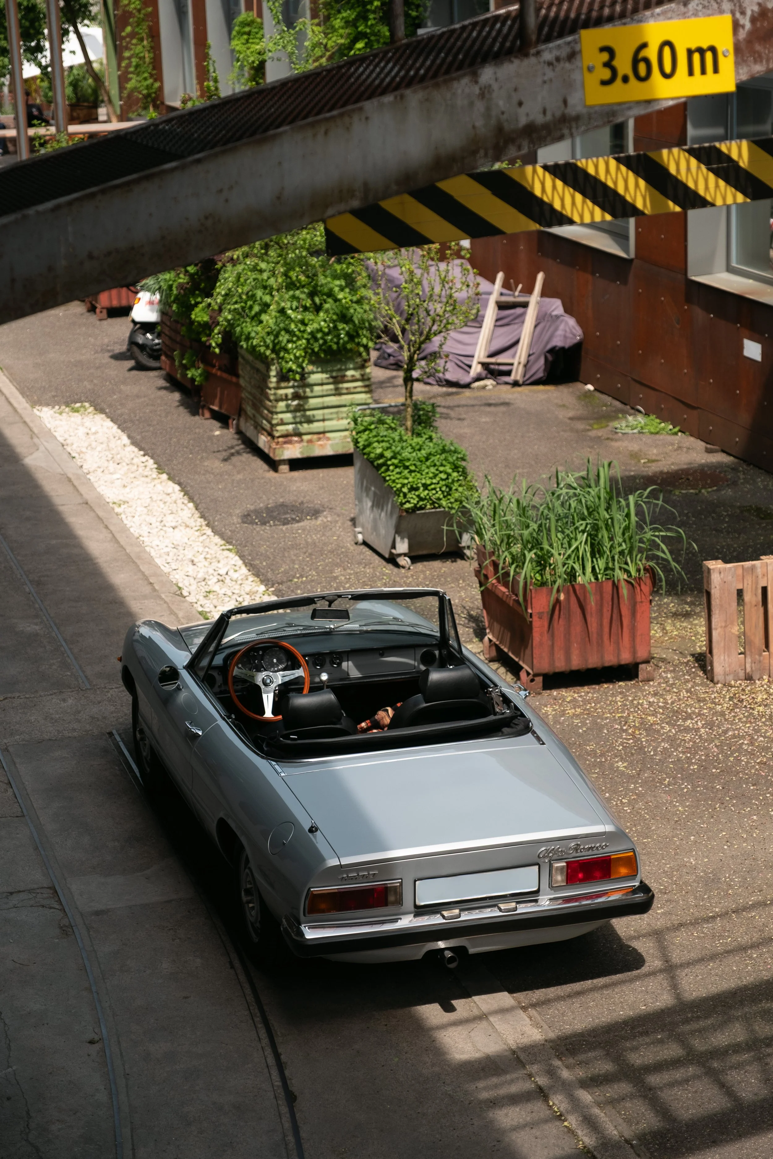Ein silberner Alfa Romeo Spider Cabrio parkt im Freien, umgeben von Pflanzen in Blumenkästen. Es ist Tag, und die Aufnahme scheint von einer erhöhten Position aus gemacht worden zu sein, wahrscheinlich durch ein Fenster oder eine Terrasse.