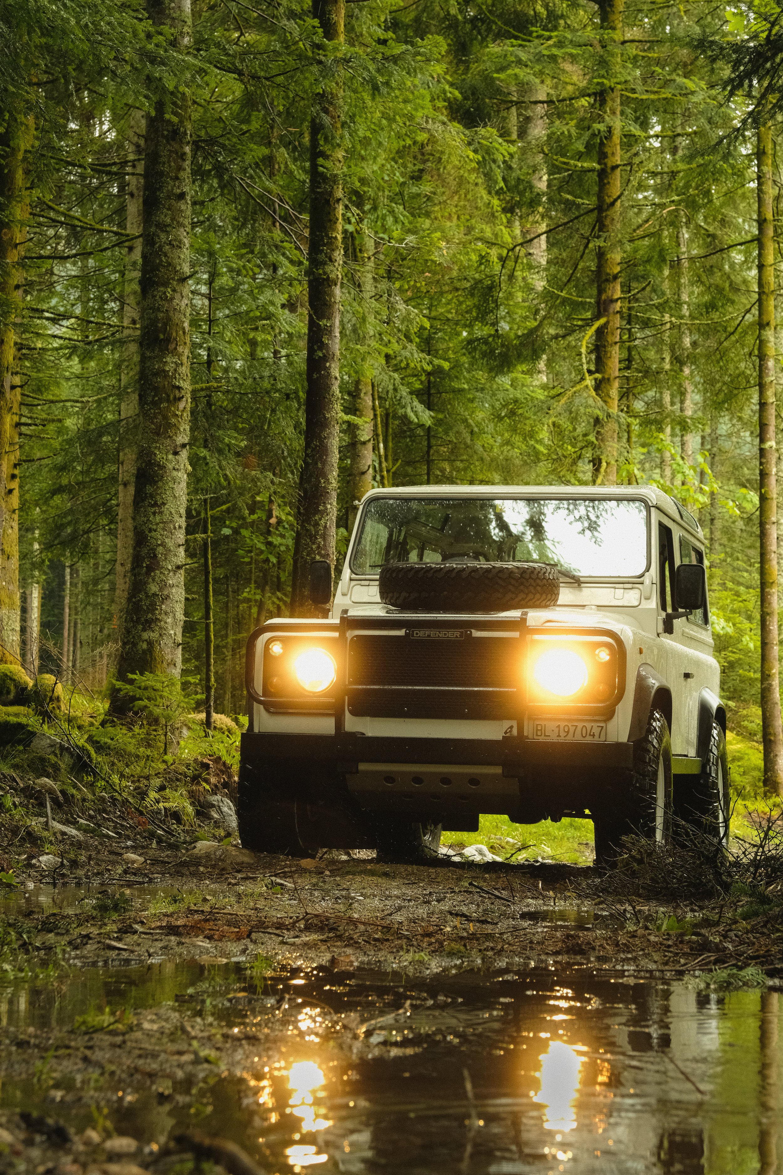 Ein weißer Geländewagen fährt durch einen dunklen, bewaldeten Weg, mit den Scheinwerfern leuchtend, und spiegelt sich in einer Wasserpfütze auf dem Boden.