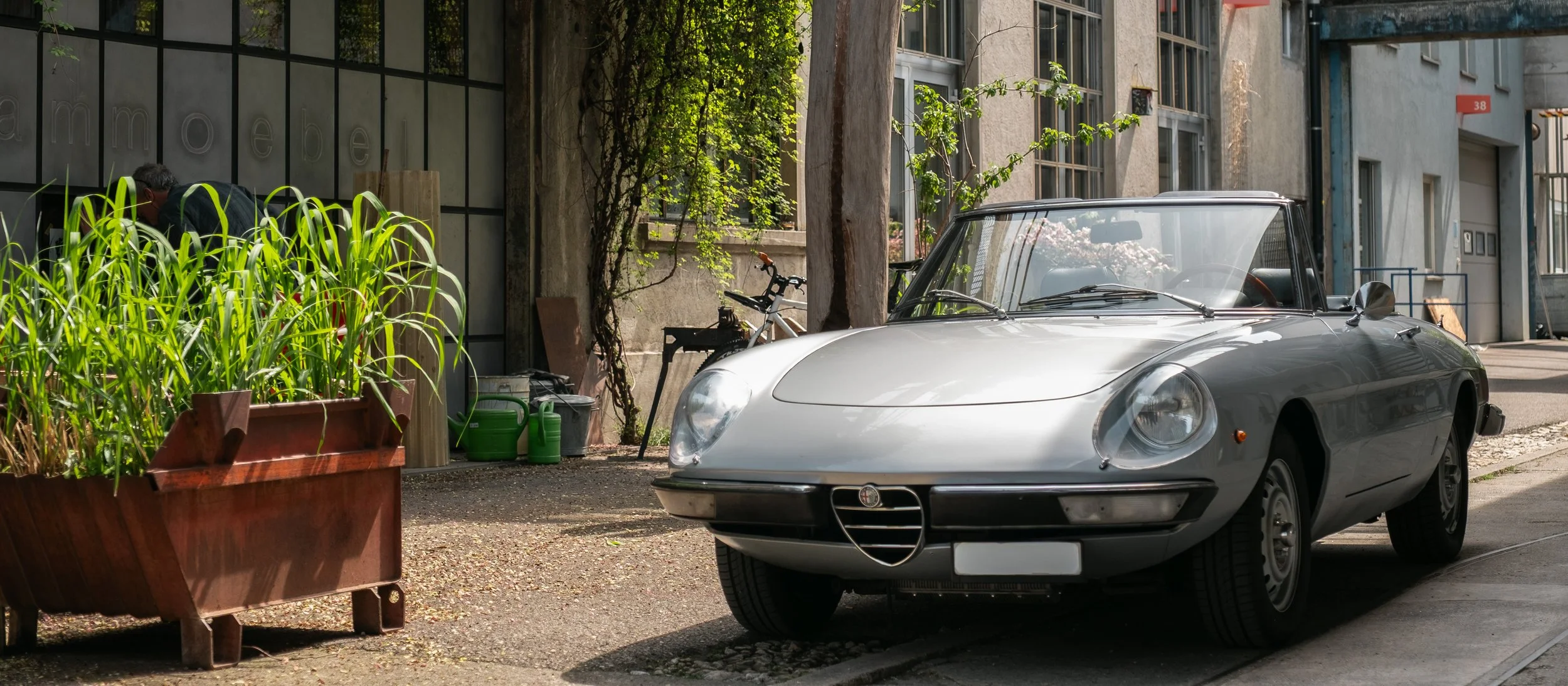 Ein silberner Alfa Romeo Spider oldtimer steht auf einer Straßenseite, im Hintergrund ist eine ältere Gebäudefassade sichtbar. Auf der linken Seite steht ein großes Pflanzgefäß mit hohen grünen Pflanzen.