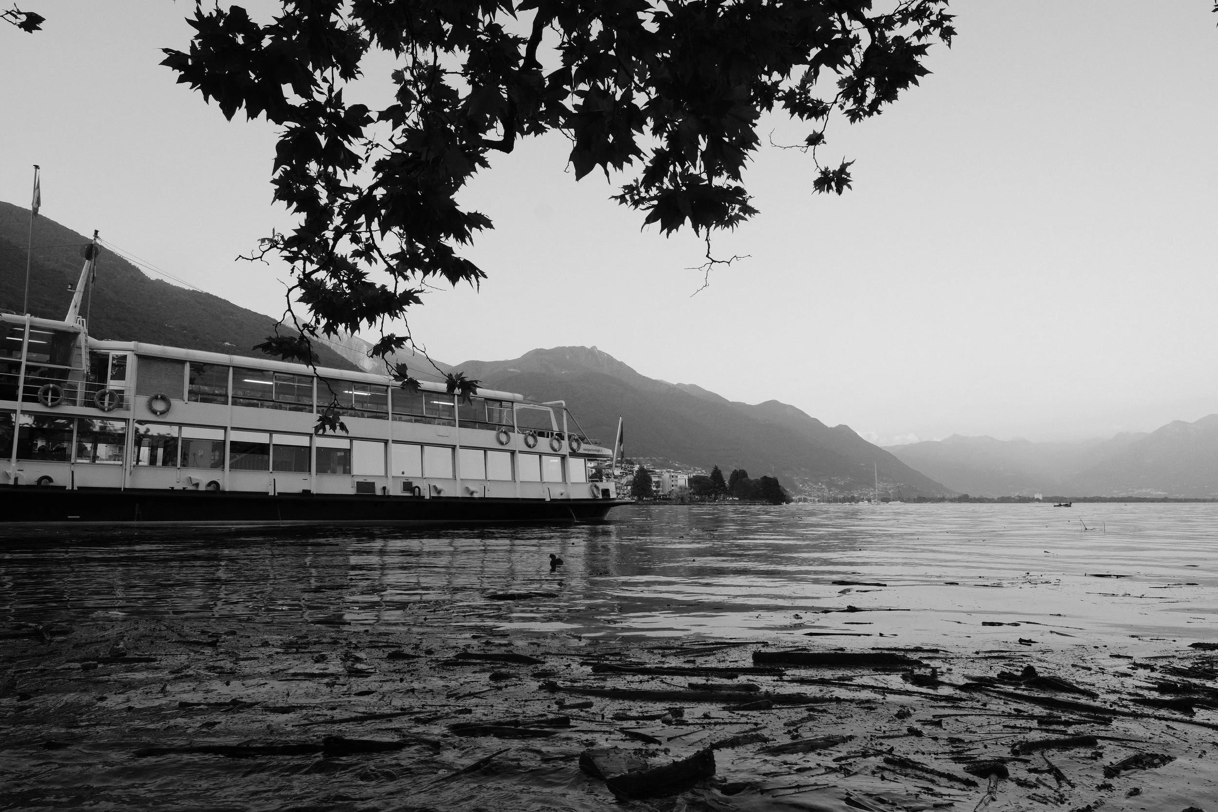 Schwarz-weiß-Foto eines Sees mit einem großen Flusskreuzfahrtschiff am Ufer, Berge im Hintergrund und Zweige eines Baumes im Vordergrund.