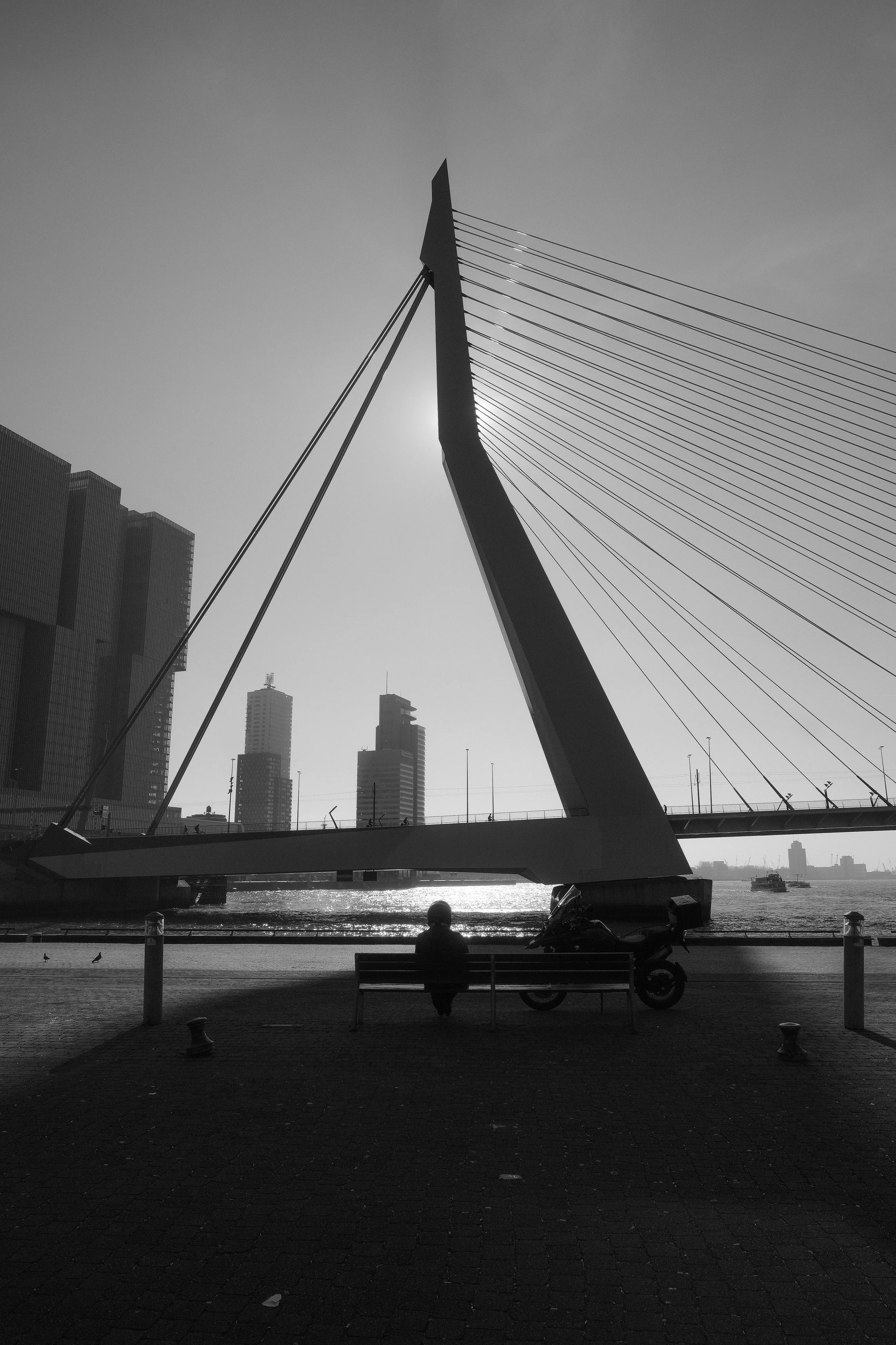 Schwarz-weiß-Foto eines Manns, der auf einer Bank an einem Fluss sitzt, mit einem Fahrrad neben ihm, im Hintergrund eine moderne Brücke und hohe Gebäude, Sonnenlicht hinter der Brücke.