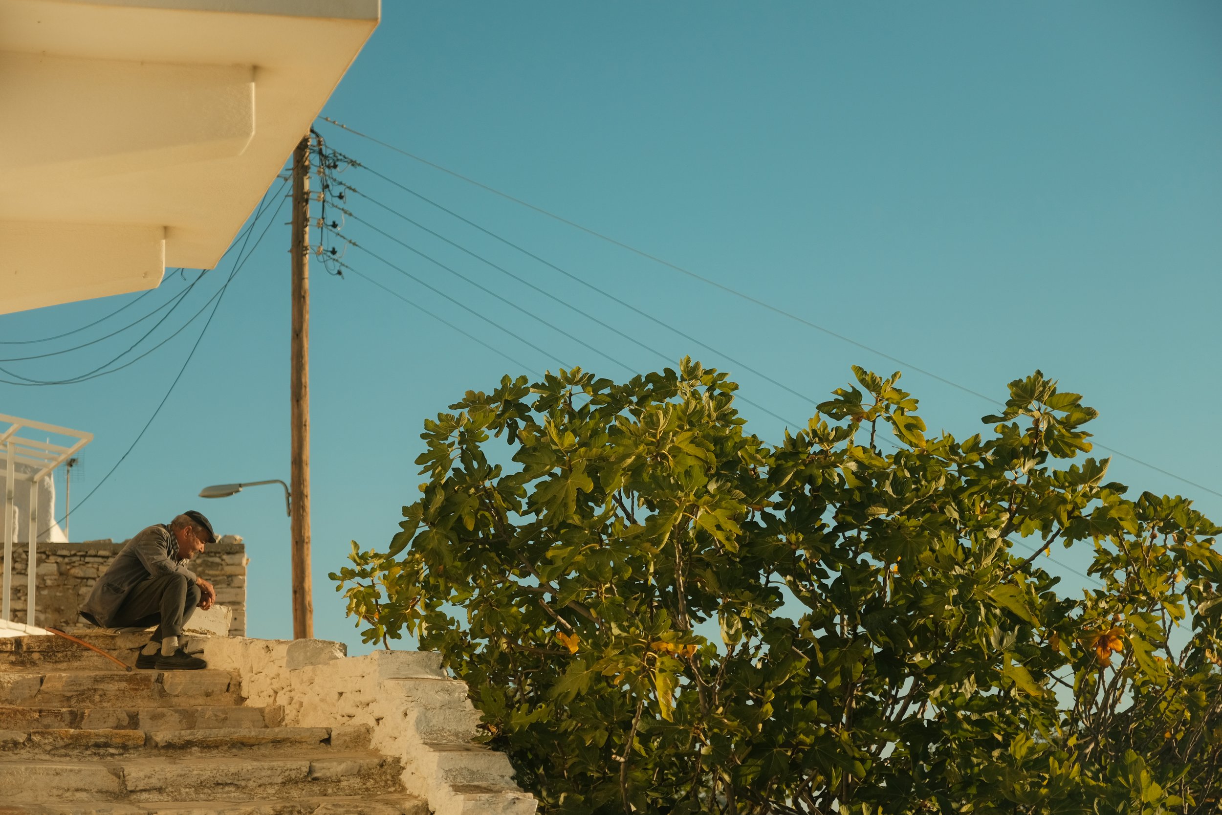 Ein Mann sitzt auf einer Treppe neben einem Baum unter einem blauen Himmel, im Hintergrund sind Strommasten und ein Haus sichtbar.