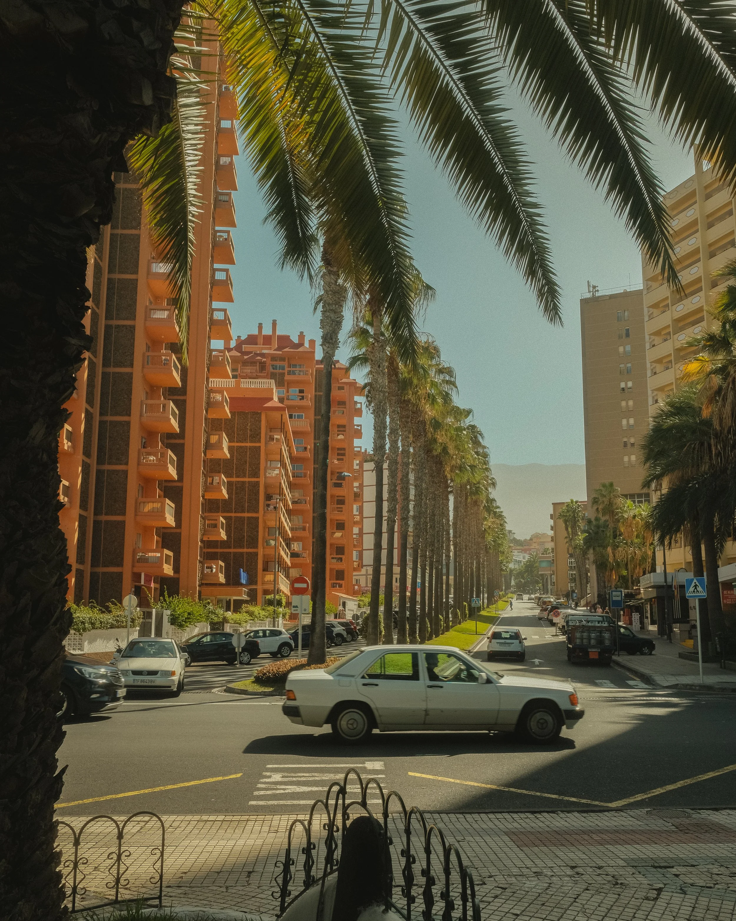 Straßenverkehr vor hohen Gebäuden mit Palmen, im Vordergrund ein weißes Auto in der Mitte der Straße, umgeben von Parkplätzen und weiteren Fahrzeugen, mit hohen Gebäuden im Hintergrund.