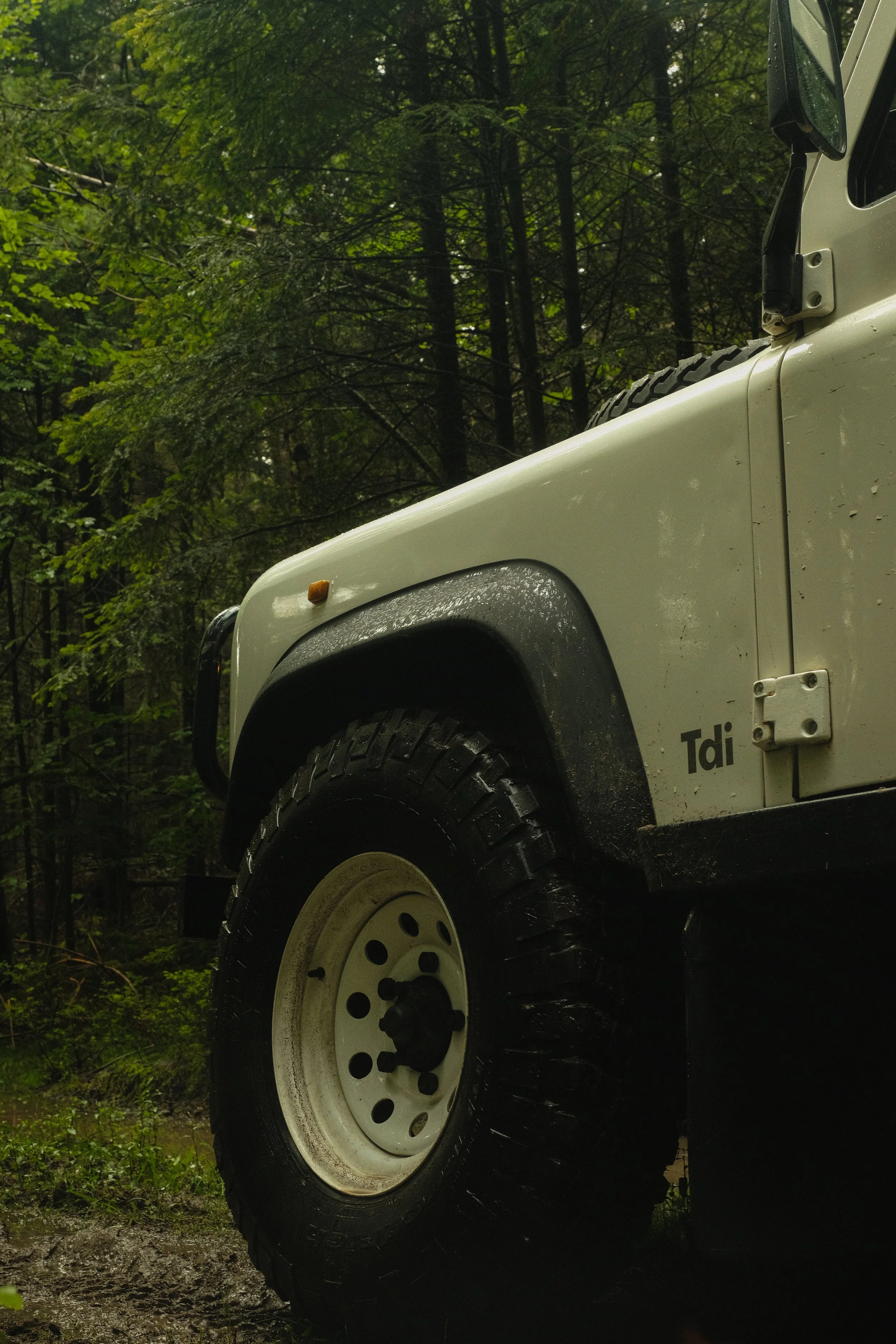 Nahaufnahme eines weißen Geländewagens (Land Rover Defender) in einem Wald, Fokus auf die vordere rechte Seite mit großem Reifen und 'Tdi'-Aufkleber.