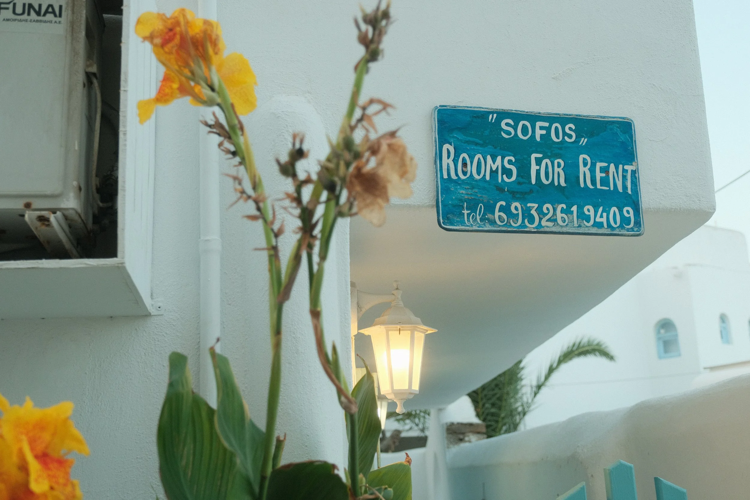 Ein blauer Hinweisschild mit weißen Buchstaben, das an einer weißen Wand hängt, mit der Aufschrift 'Sofos Rooms for Rent' und Telefonnummer. Im Vordergrund sind gelbe Blumen und eine Laterne zu sehen.