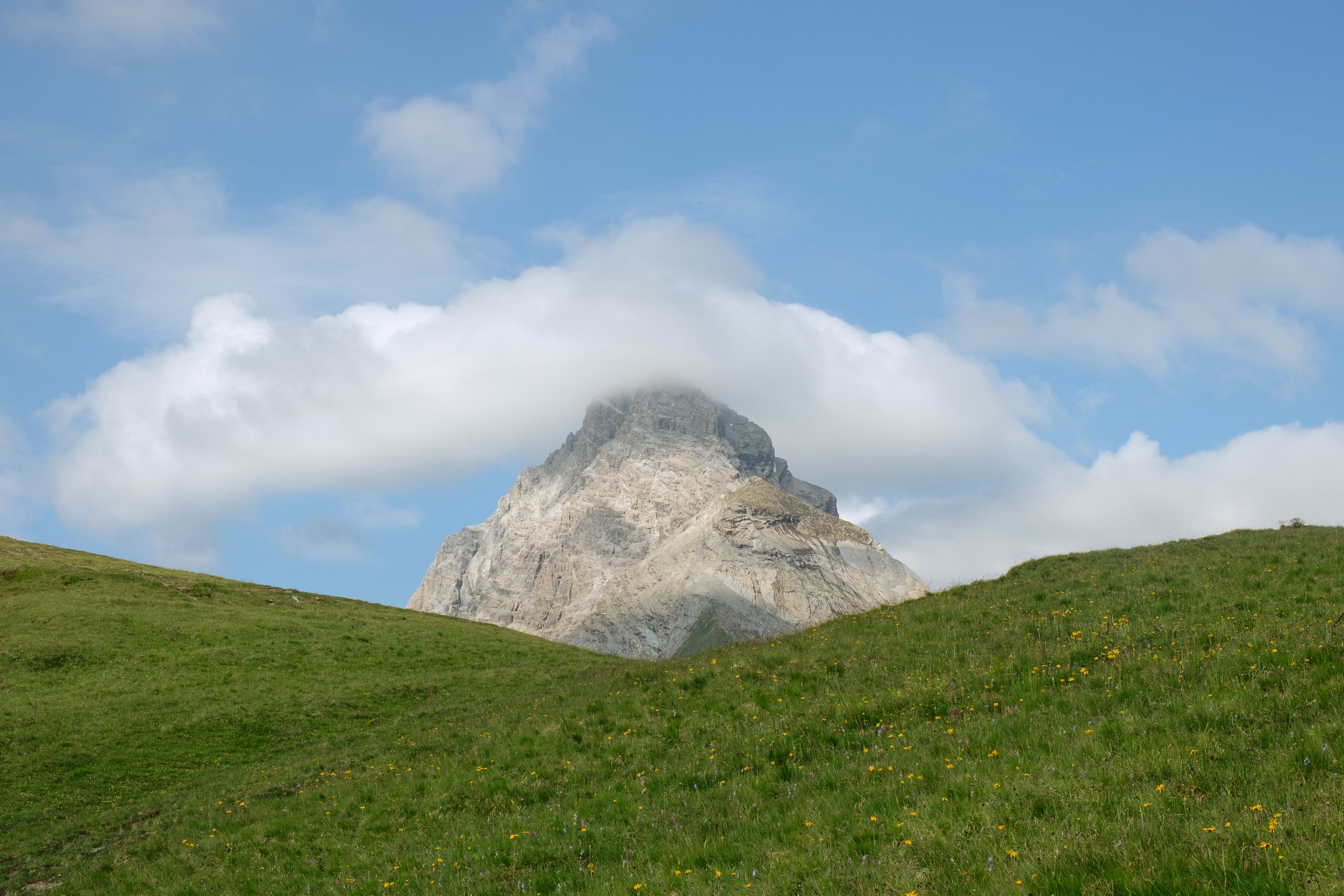 Berg im Hintergrund, teilweise von Wolken umhüllt, vor grünem, blumenbedecktem Hügel im Vordergrund bei blauem Himmel.