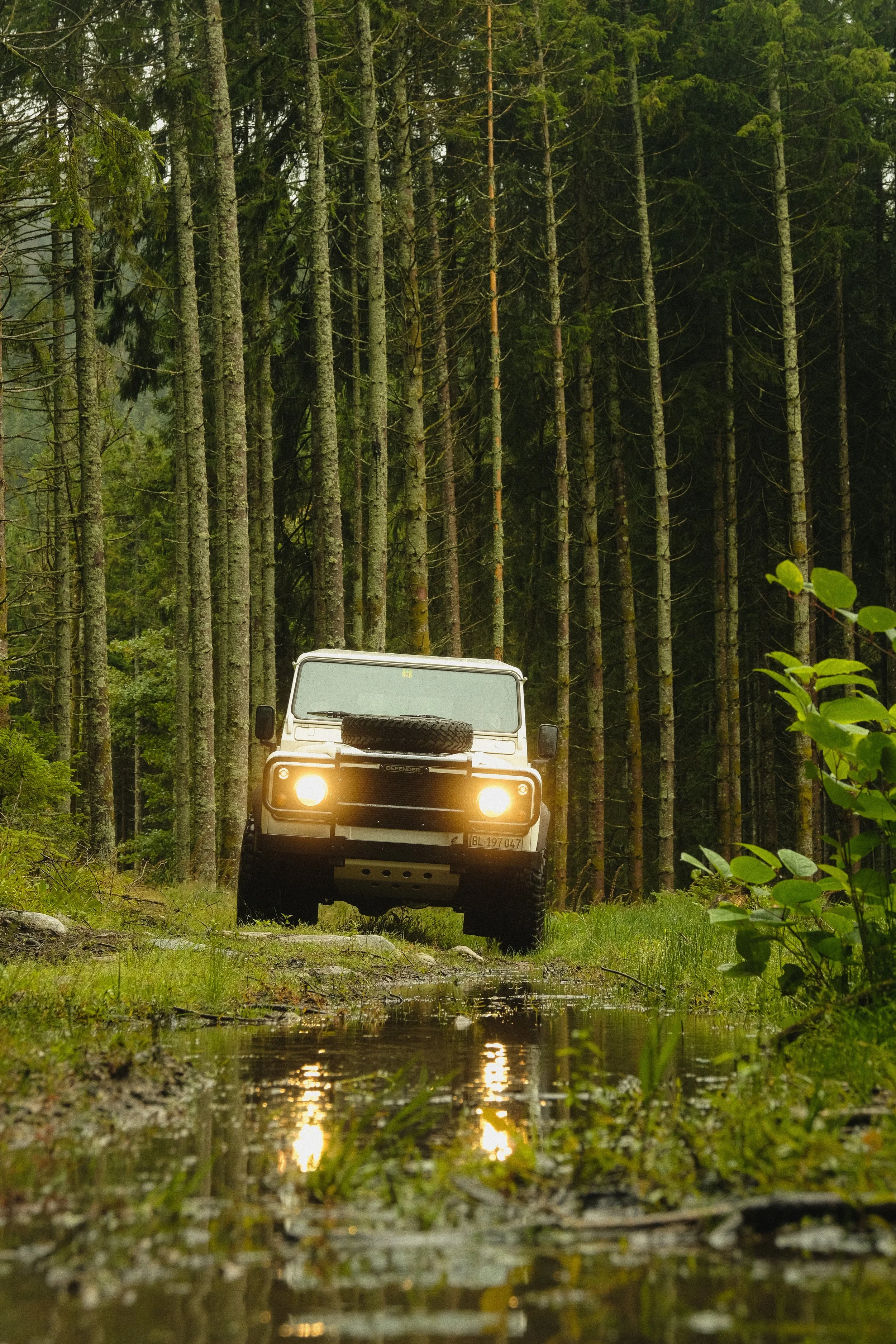 Ein weißer Geländewagen fährt durch einen Wald mit hohen Tannen. Der Wagen hat seine Scheinwerfer eingeschaltet, die reflektieren auf einer Wasserpfütze auf dem Boden.