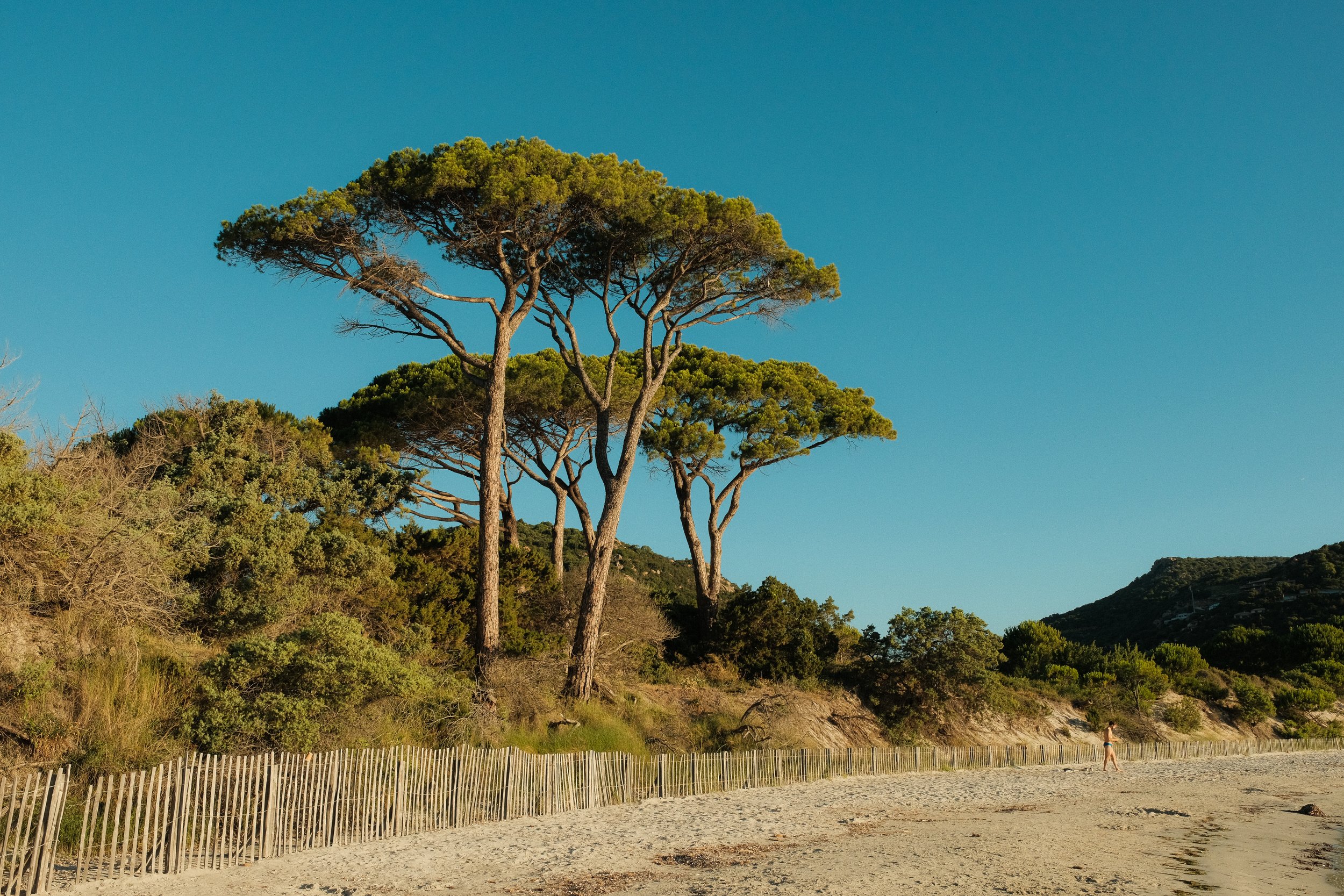 Strand mit Sand, eine Frau läuft entlang der Küste, im Hintergrund Kiefern an einer bewachsenen Hügellandschaft, blauer Himmel.
