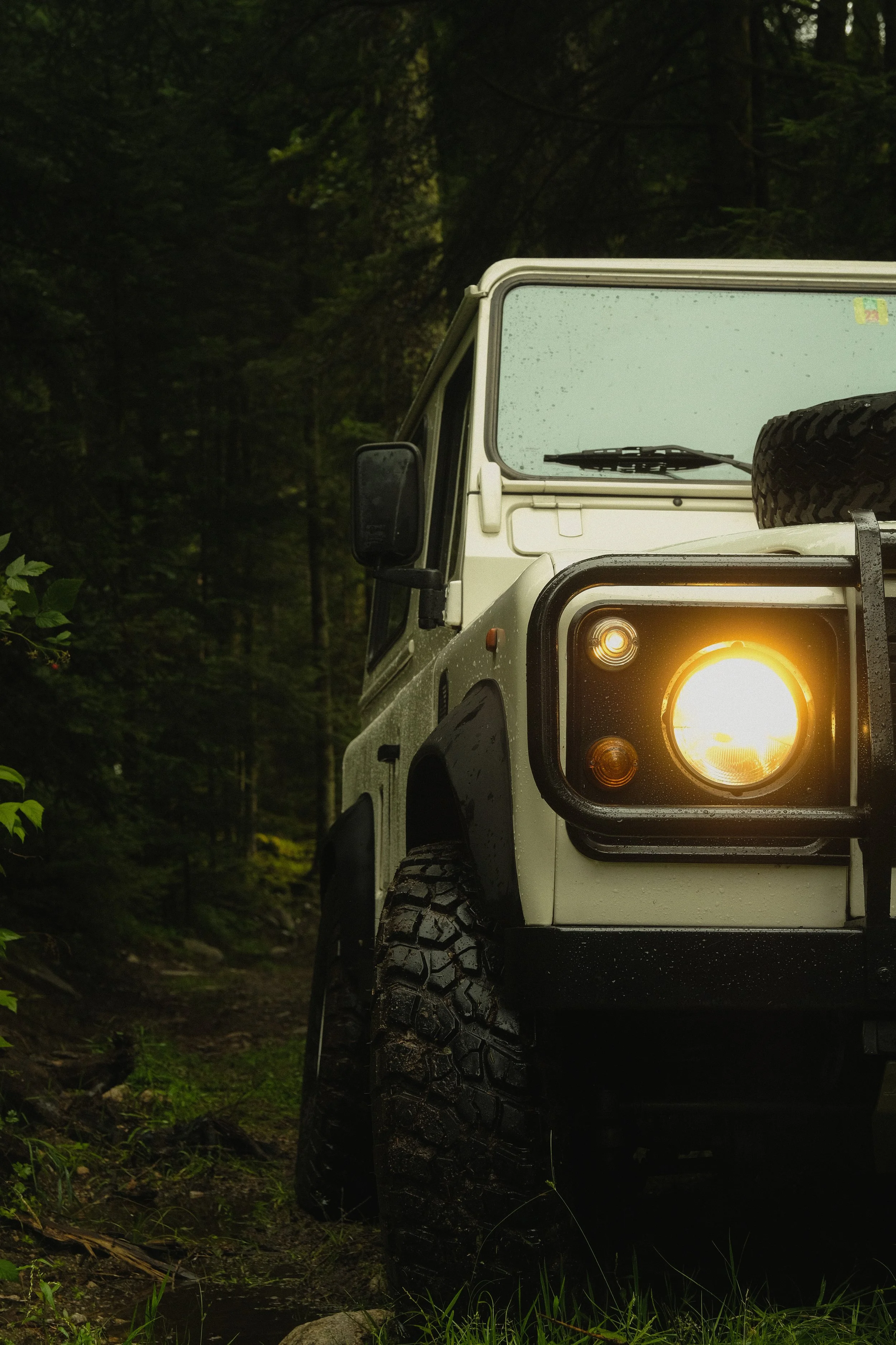 Ein weißer Geländewagen mit eingeschaltetem Scheinwerfer steht im dichten grünen Wald.