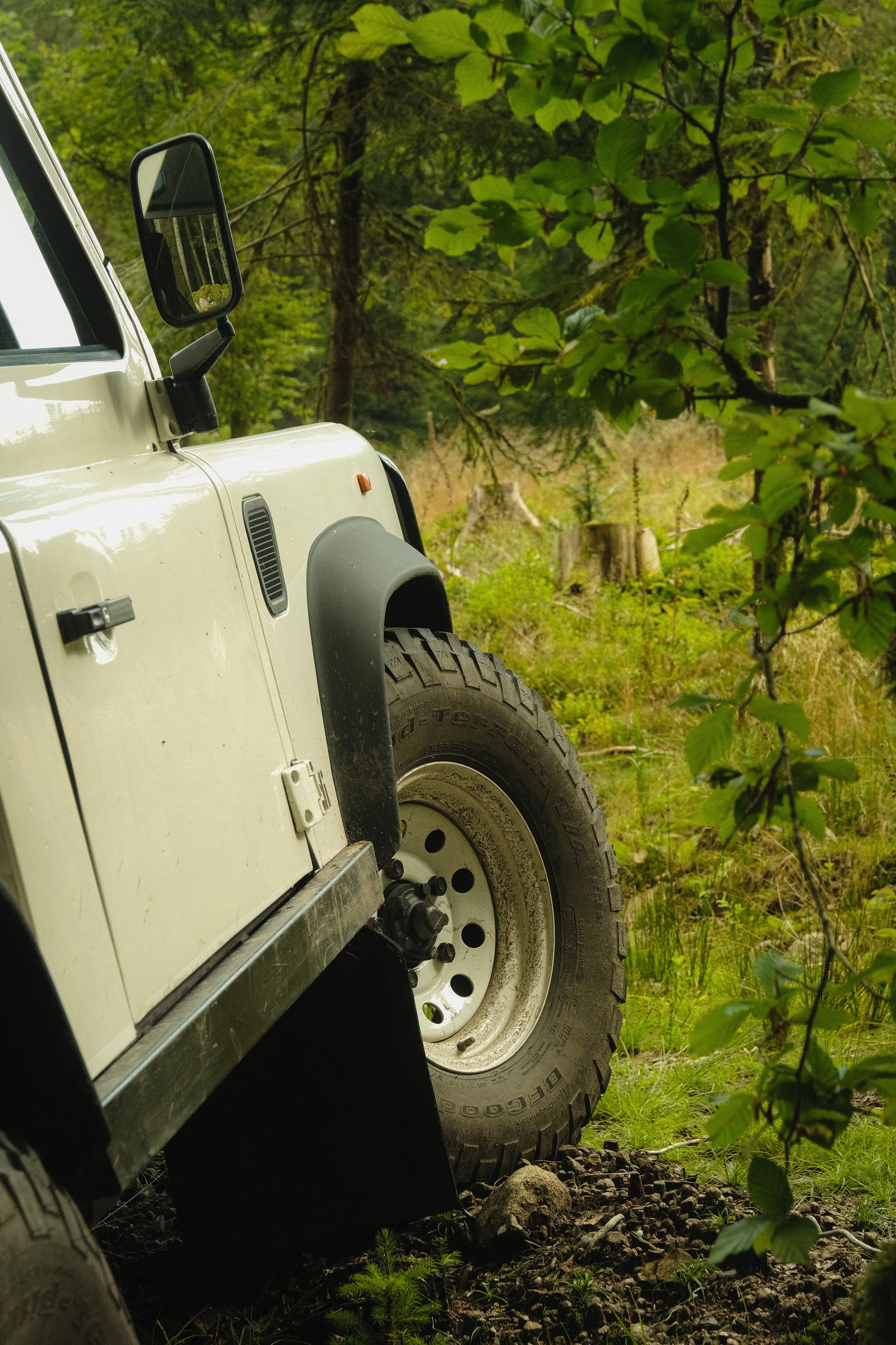 Ein heckgetriebener, offroadfähiger Geländewagen im grünen Wald, nahe einem Baumstumpf und umgeben von Pflanzen.