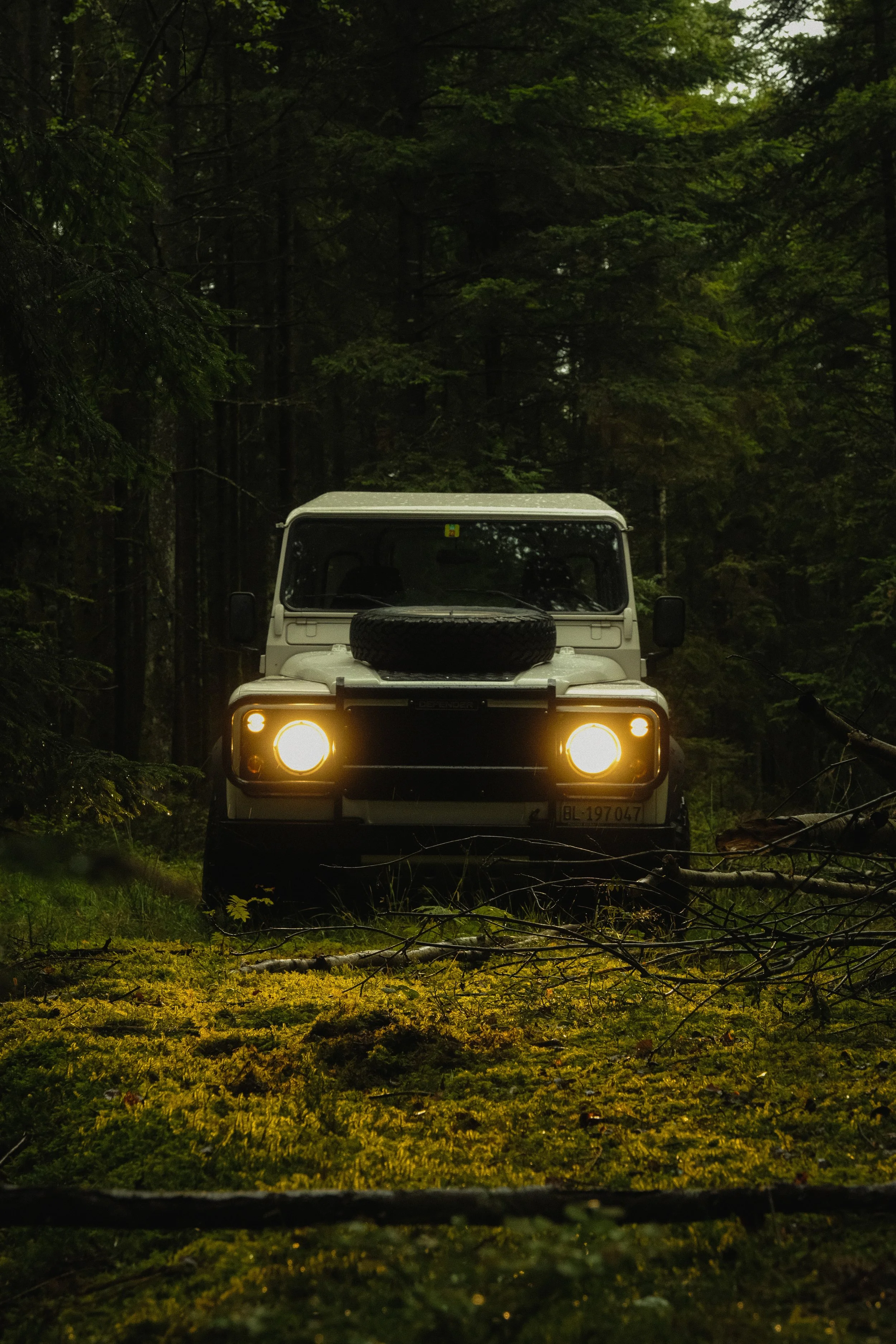Ein weißer Geländewagen mit eingeschalteten Scheinwerfern steht im dunklen Wald auf moosbedecktem Boden, umgeben von Bäumen und Zweigen.