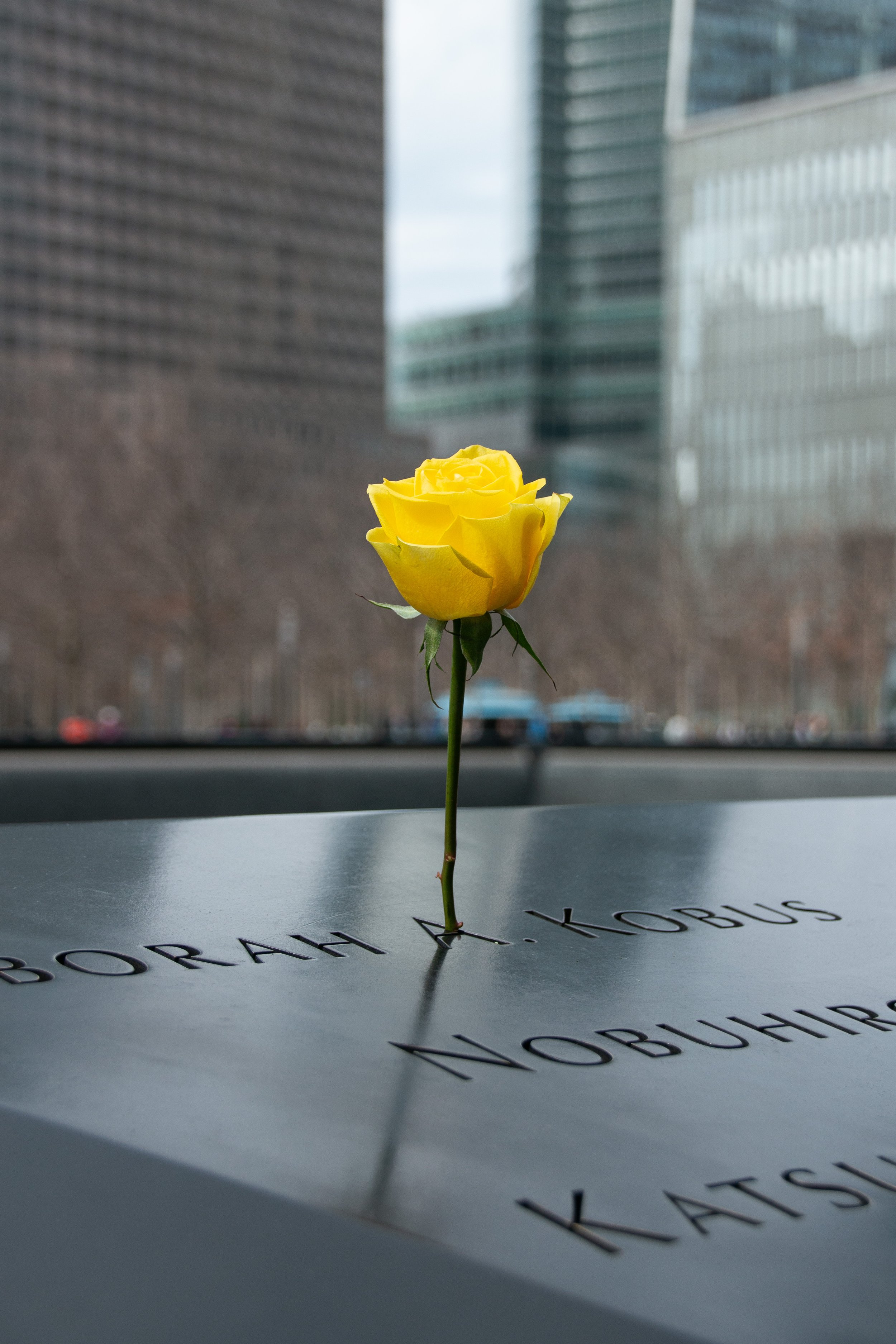 Gelbe Rose auf Grabstein mit eingravierten Namen, urbaner Hintergrund mit Gebäuden.