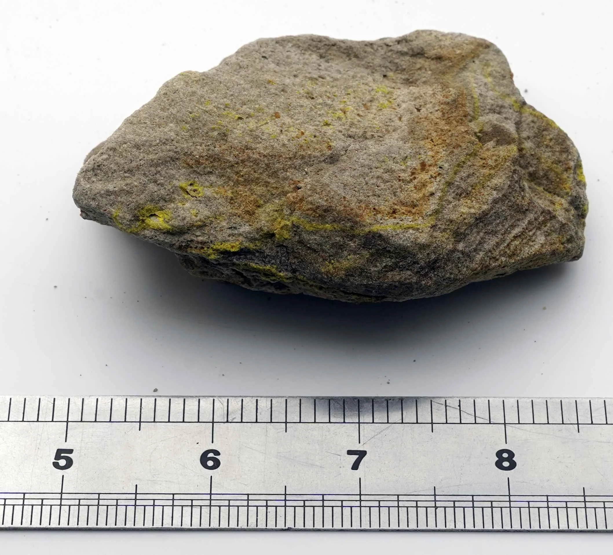 Medium Size Carnotite in Sandstone