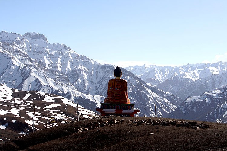 The Children of the Law of One