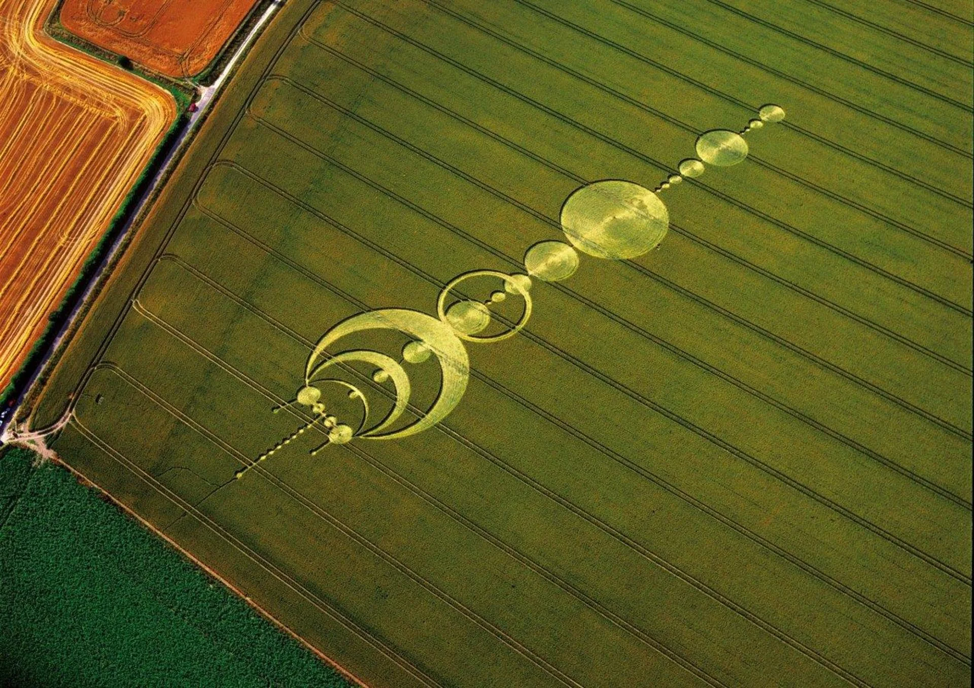 Crop Circles 