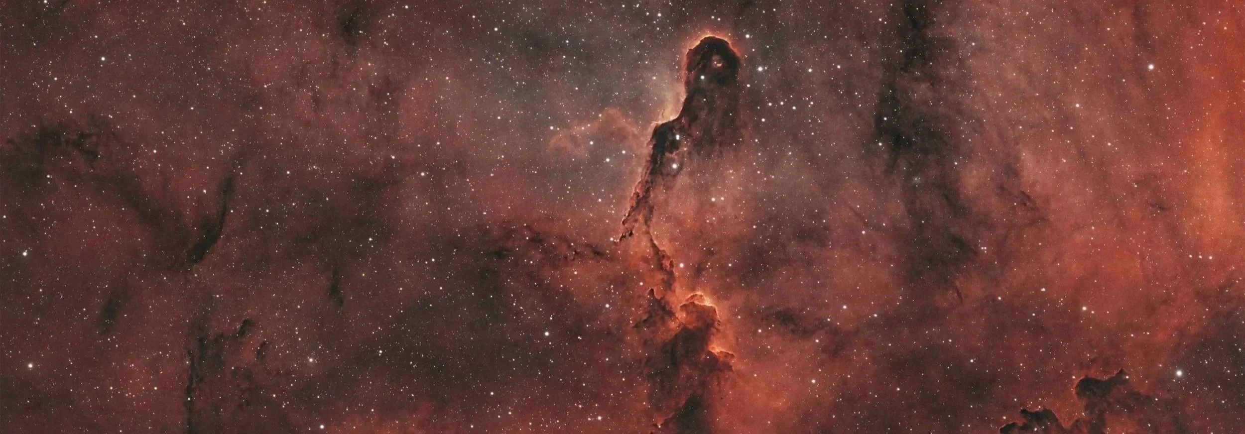 A detailed image of the Carina Nebula showcasing bright, reddish-orange clouds of gas and dust, with numerous stars scattered throughout.