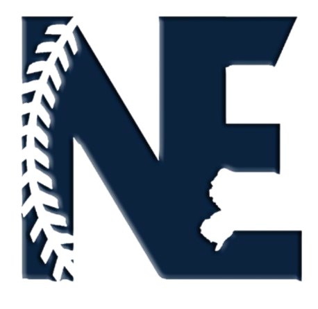 Logo featuring the letter 'N' made of pixelated design with a dark blue and black color scheme.