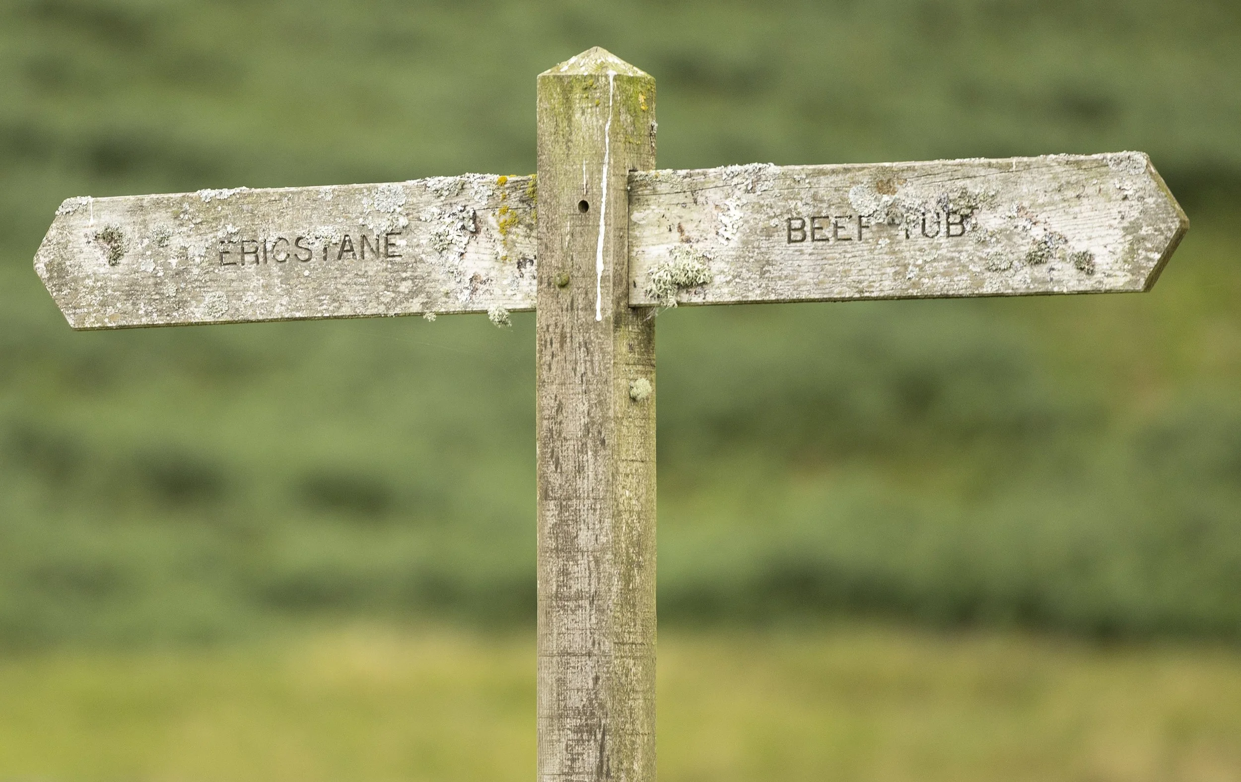 Group of people hiking through grassy field, led by a woman with a backpack and walking stick, surrounded by autumn foliage.