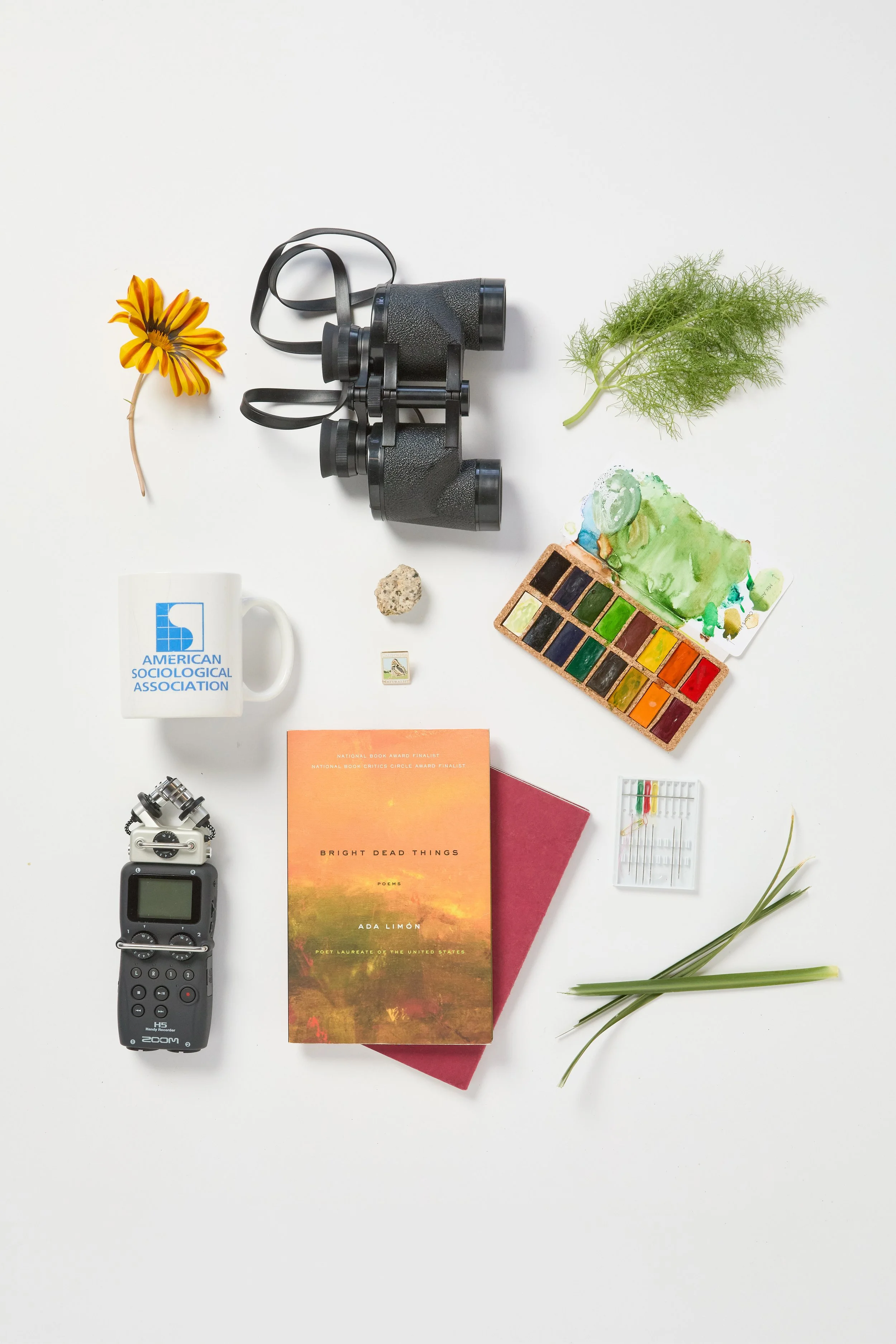 Rebecca (Bex) Wolfe_Flat Lay.jpg