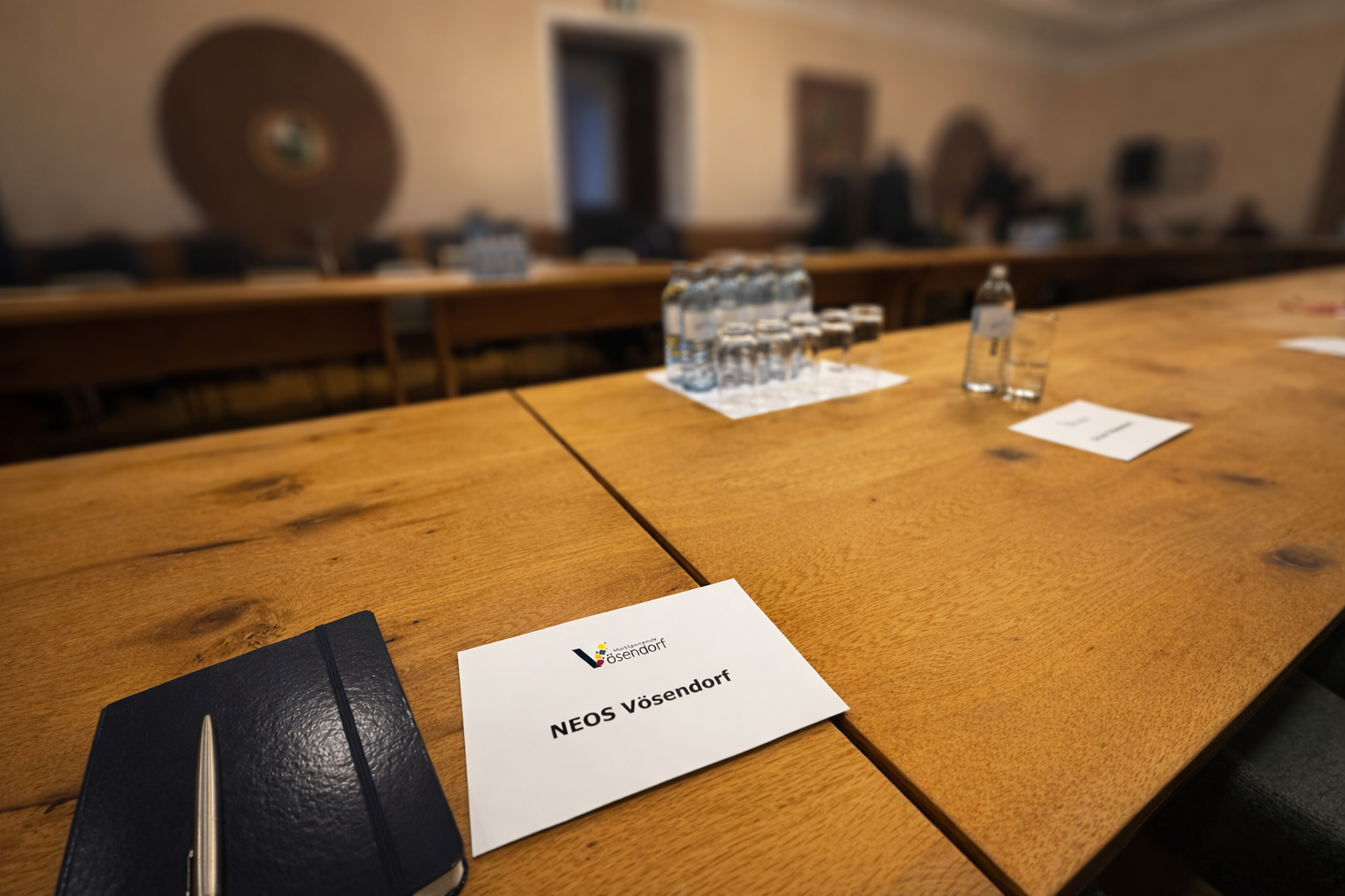 Episode 12: Gemeinderatssitzung am 25. März 