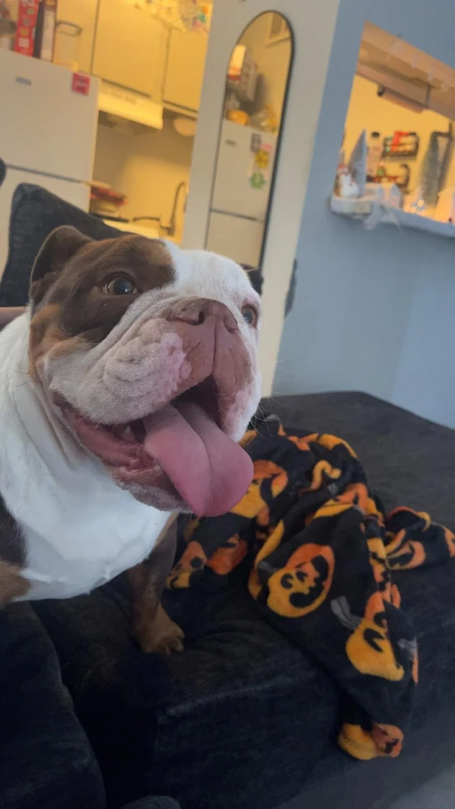 WhatsApp Image 2025-11-22 at 08.36.34_2d1ea6ba.jpg