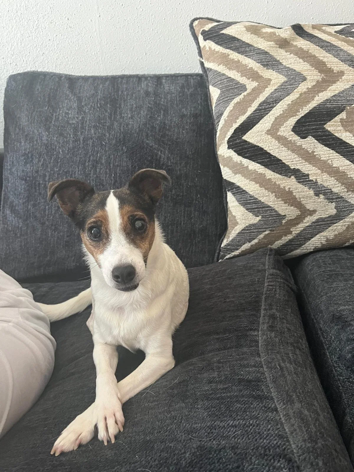 WhatsApp Image 2025-11-22 at 08.36.35_fd03c728.jpg