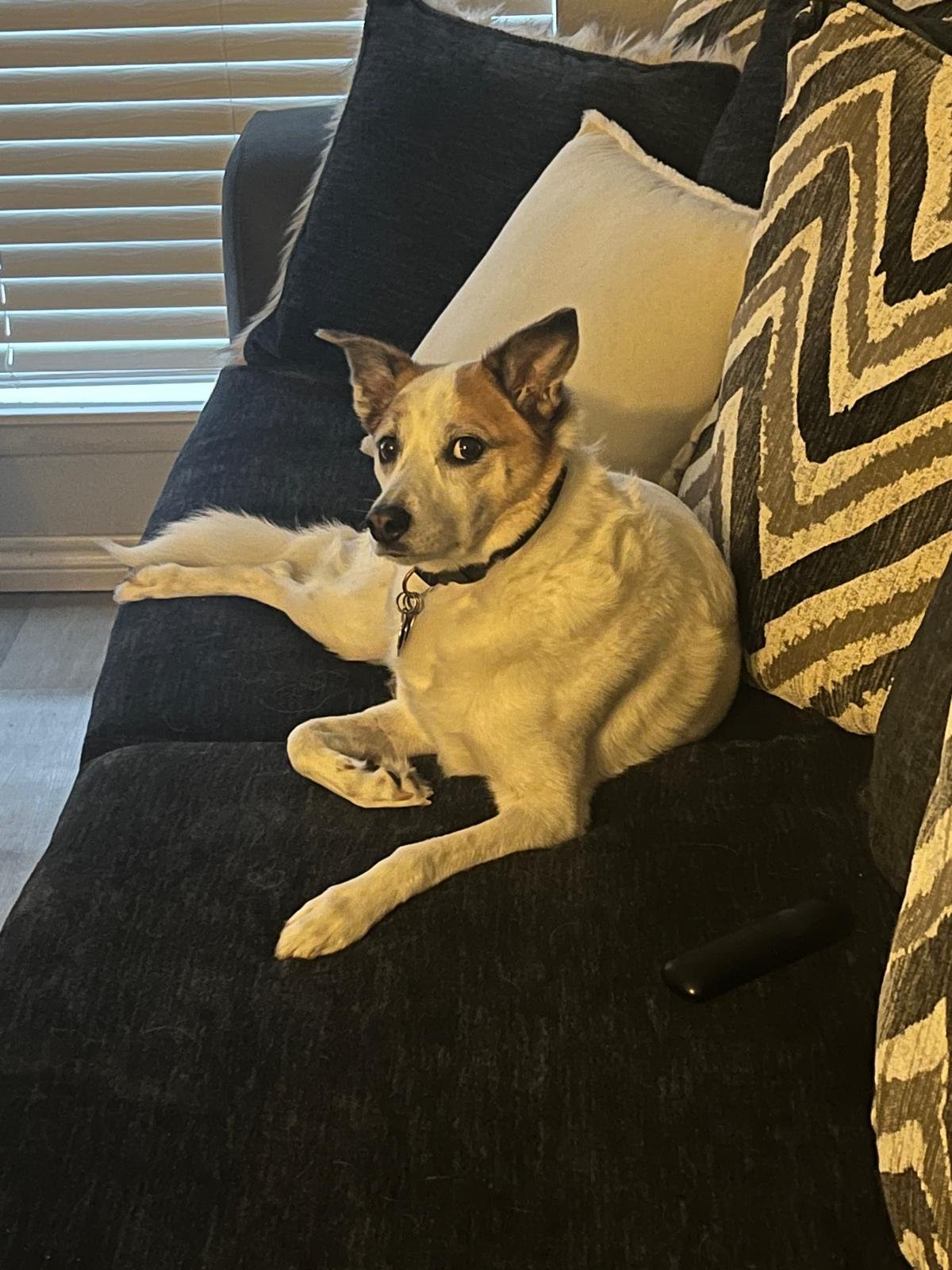 WhatsApp Image 2025-11-22 at 08.36.33_5d31b0e5.jpg